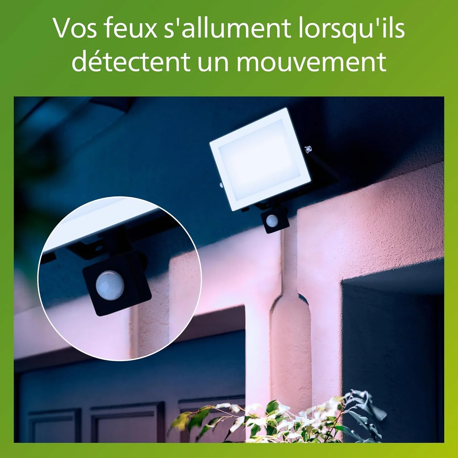 Philips Lois Projecteur Extérieur 50W 5000K Noir