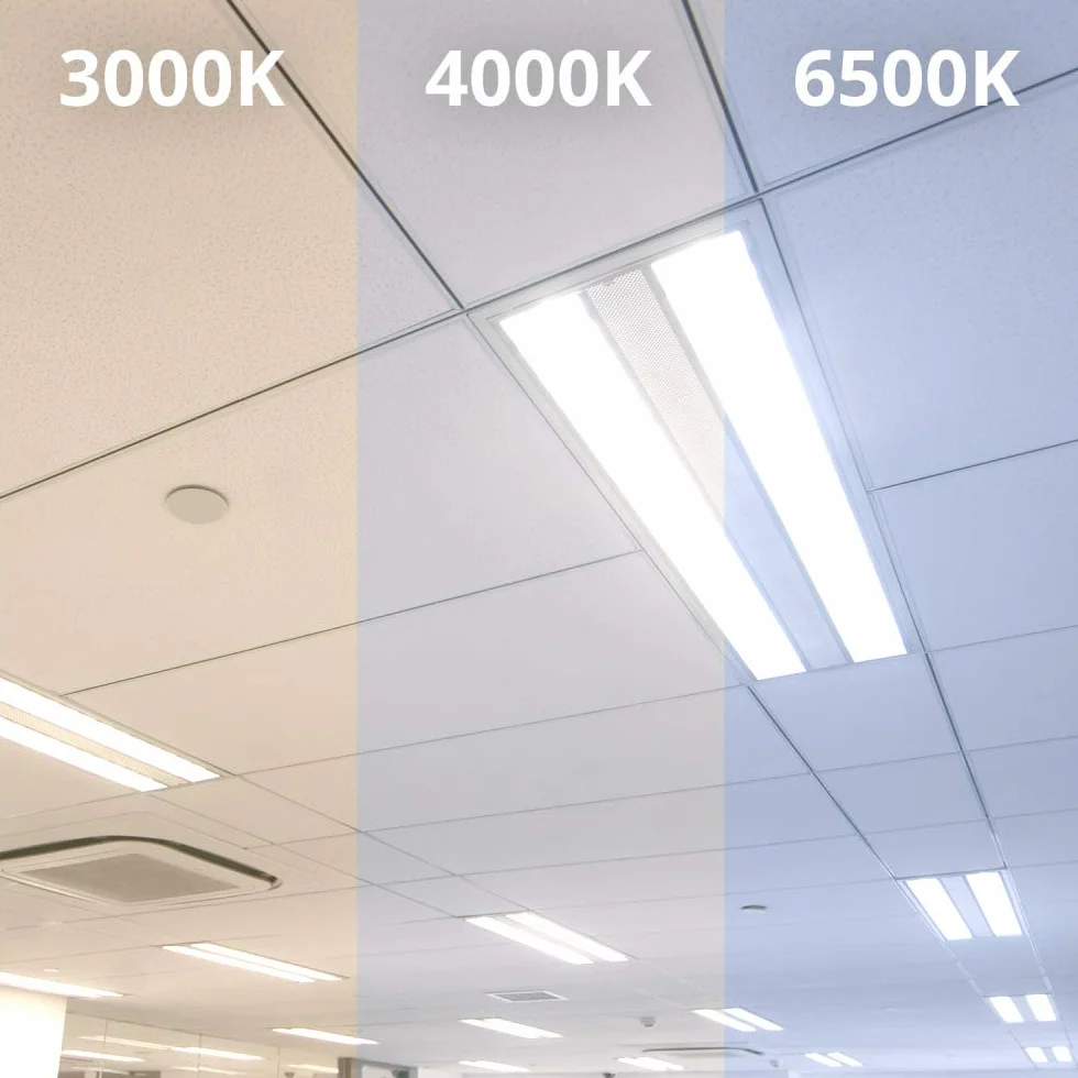 Noxion Tube LED T8 Avant Extreme 20.6W 3300lm 865 150cm Équivalent 58W