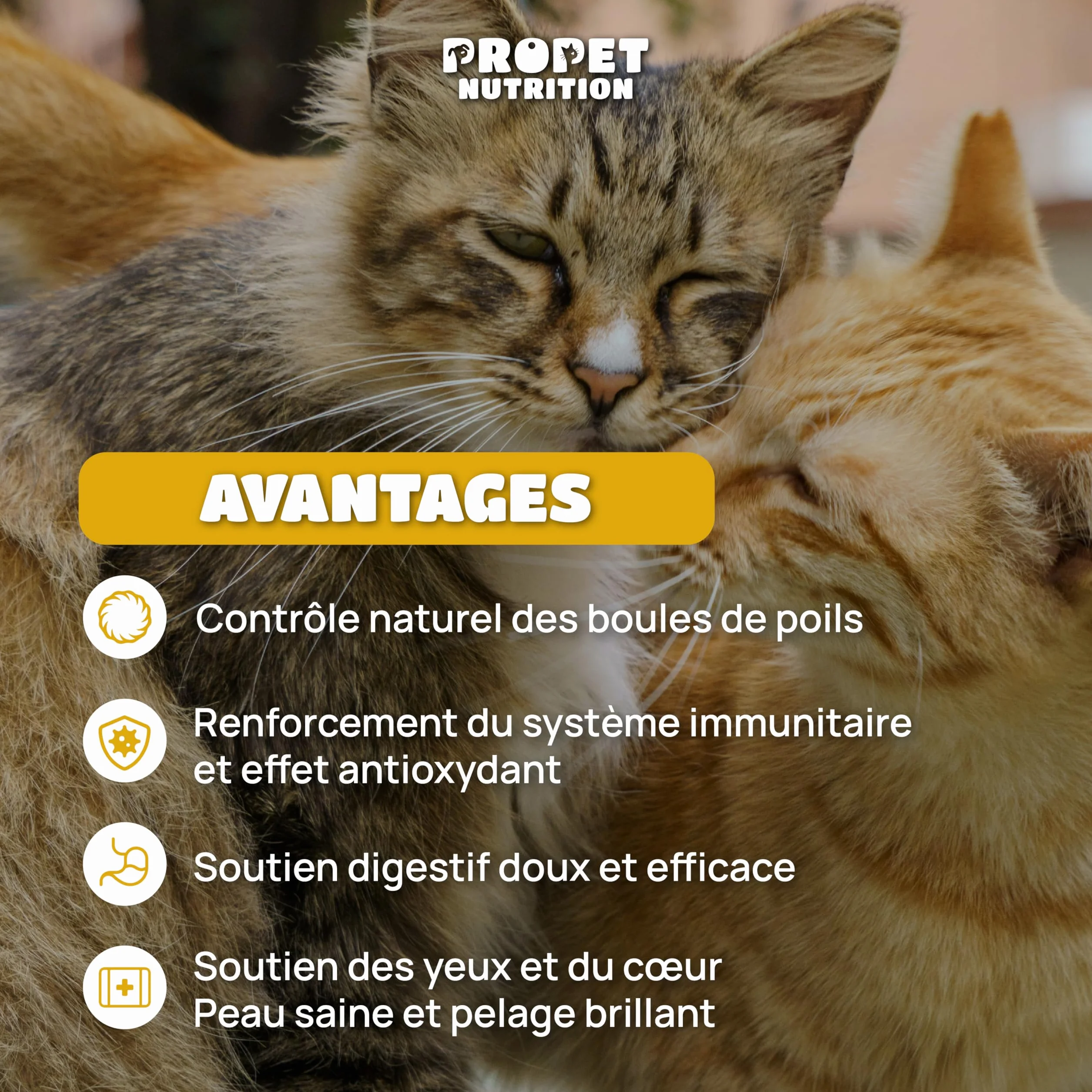 Malt Chat Anti Boule de Poil avec Taurine et Vitamines 120 ML