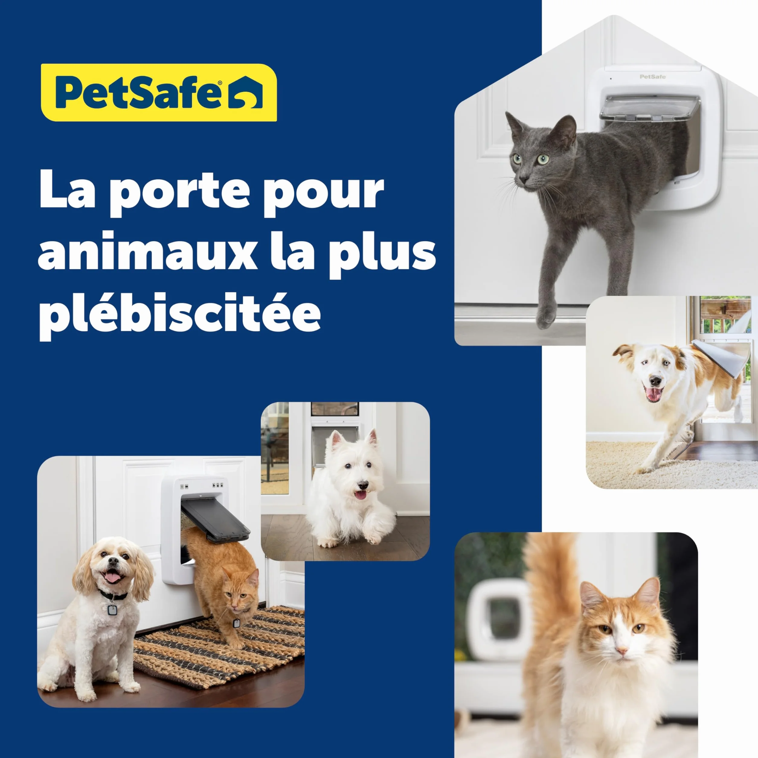 PetSafe Chatière à Puce Électronique RFID Multi-Utilisateur 40 Animaux 4 Options Fermeture Blanc