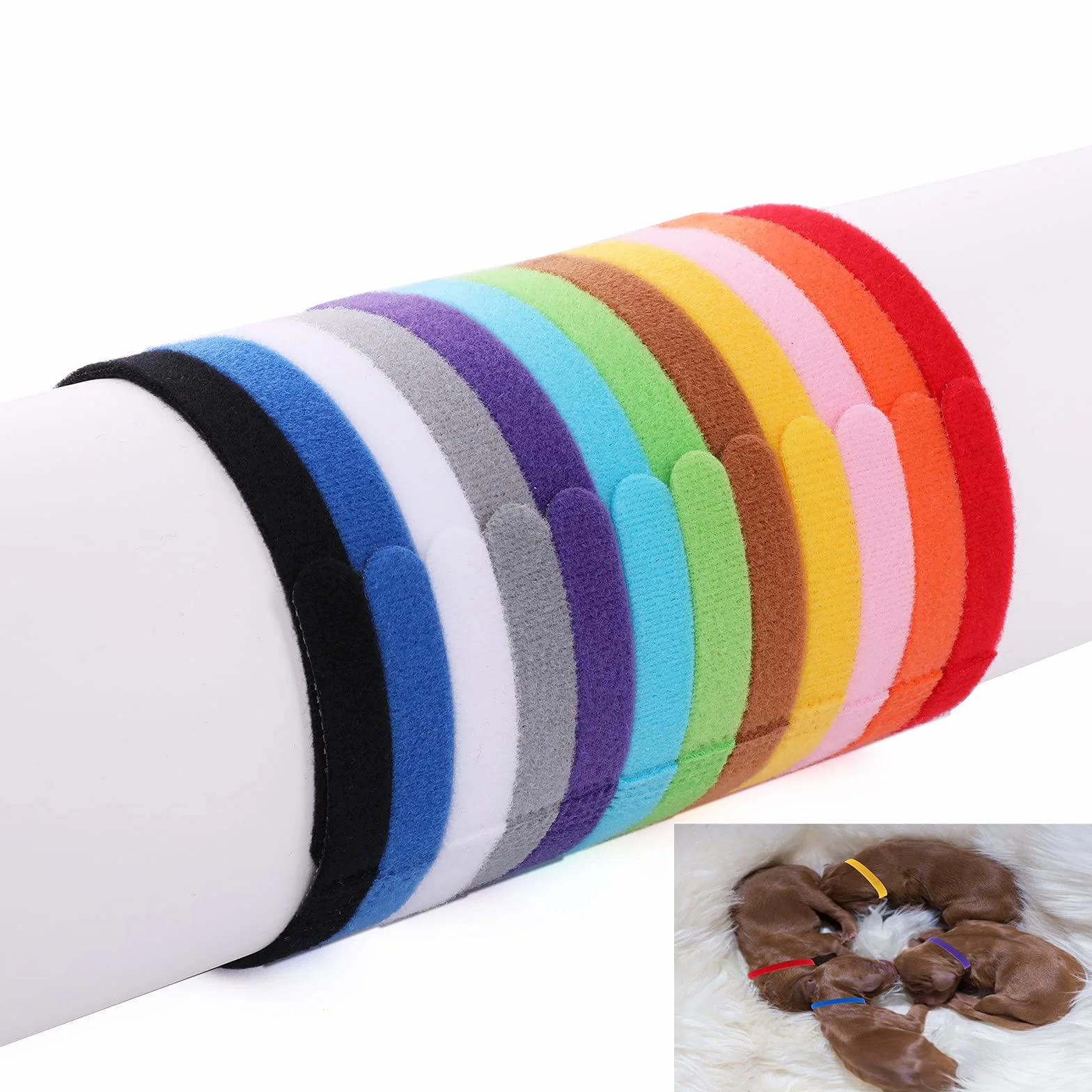 Molain Lot de 12 Colliers de Mise Bas pour Chiot, Collier Chaton Couleurs Assorties pour Petits Chiots Colliers d'identification réglables 30 cm