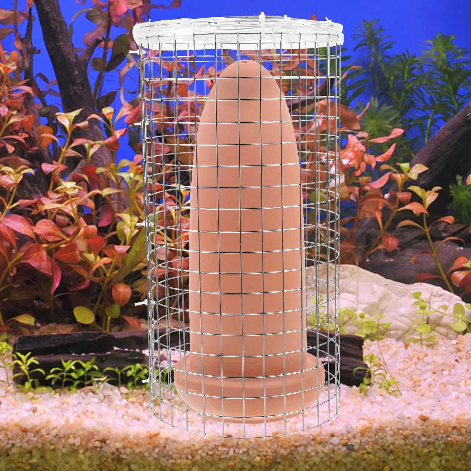 Cônes d'élevage en céramique pour Discus Crevettes Taille L