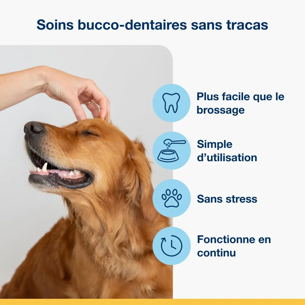 ProDen PlaqueOff Poudre Dentaire pour Chiens Anti-Tartre 60 g