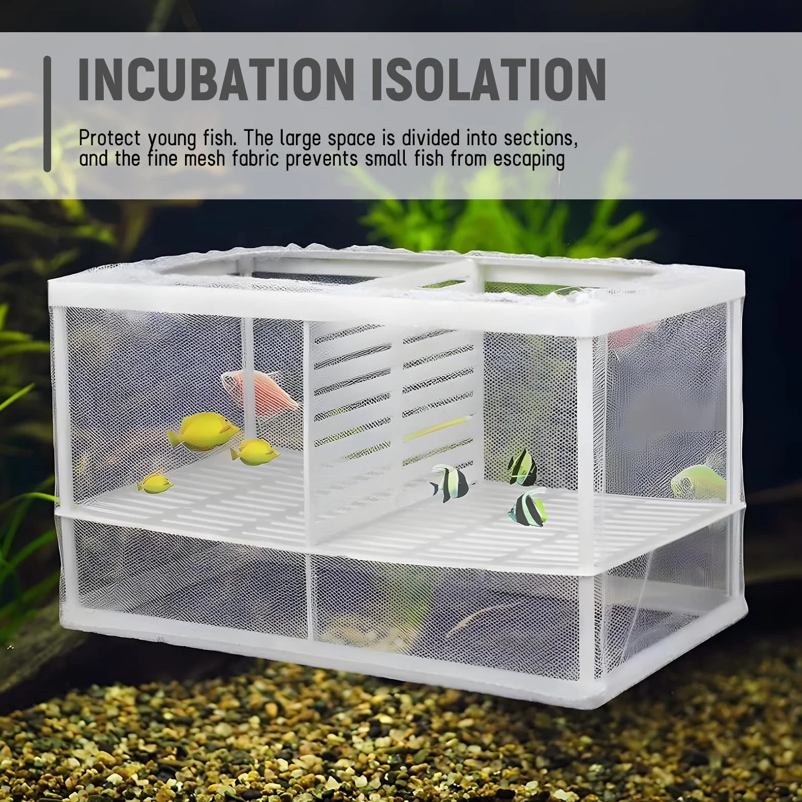 Couveuse Et Pondoir Aquarium, Boîte De Reproduction Pour Poissons Avec Séparation Amovible, Filet De Maille Fine, Auto-Flottante, 6 Ventouses