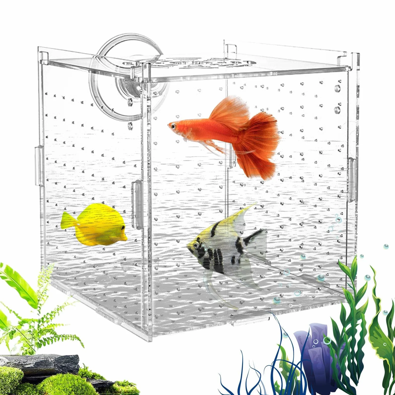 Bac de Reproduction pour Aquarium - Boîte de Reproduction pour Poissons avec Ventouses, Conteneur d'Élevage pour Œufs Nauplies Guppys Poissons Anges