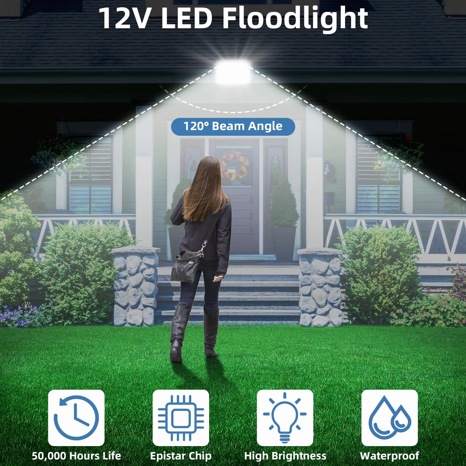 Papasbox Projecteur LED 12V 10W 800LM 6000K IP65 Jardin