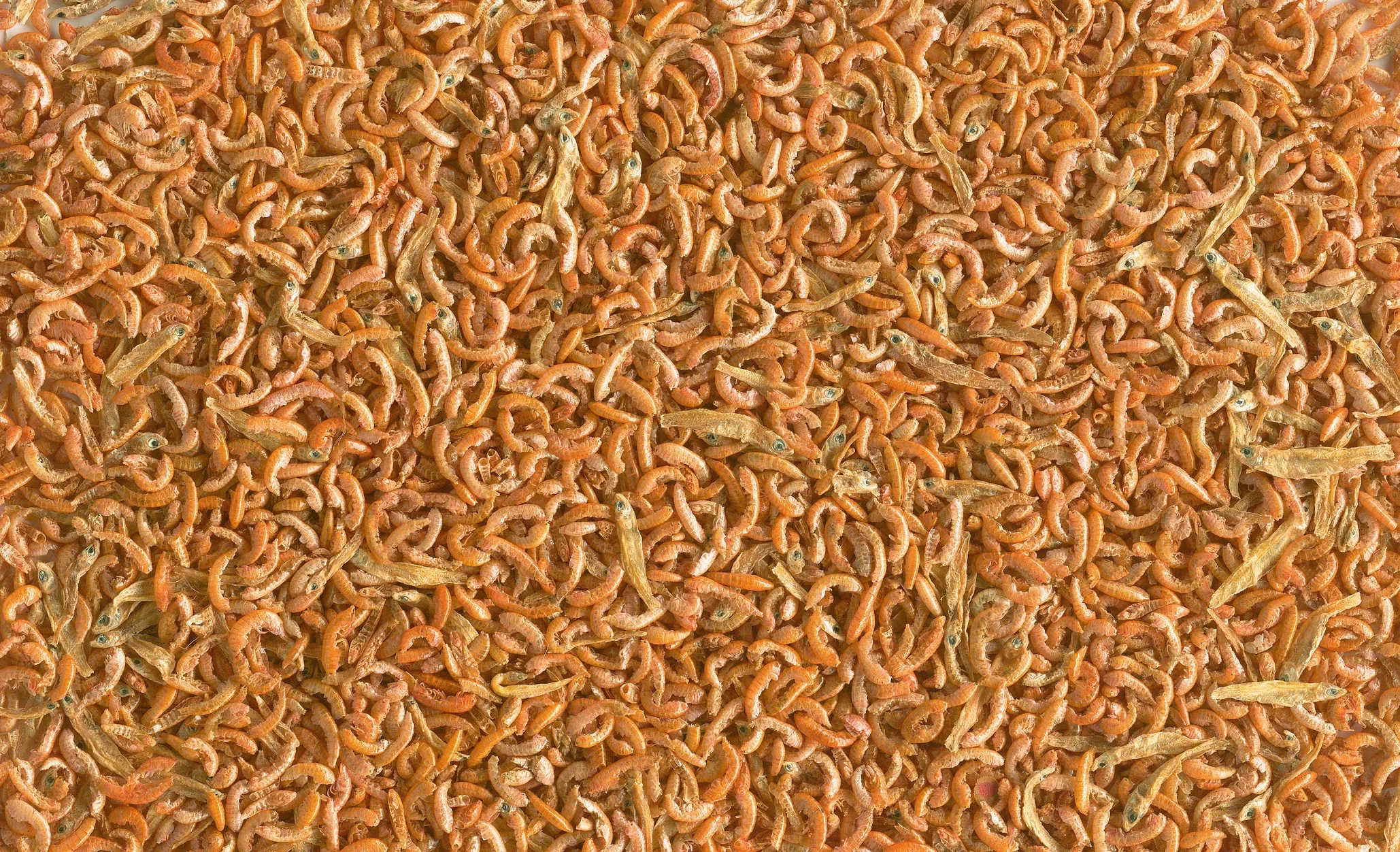 Tetra Gammarus Mix 1000 ml