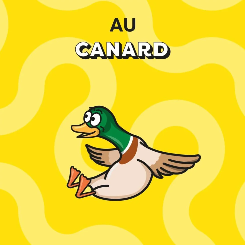 Friandises pour Chat et Chaton au Canard - Lot de 6 Sachets de 60g - Croquantes Tendres