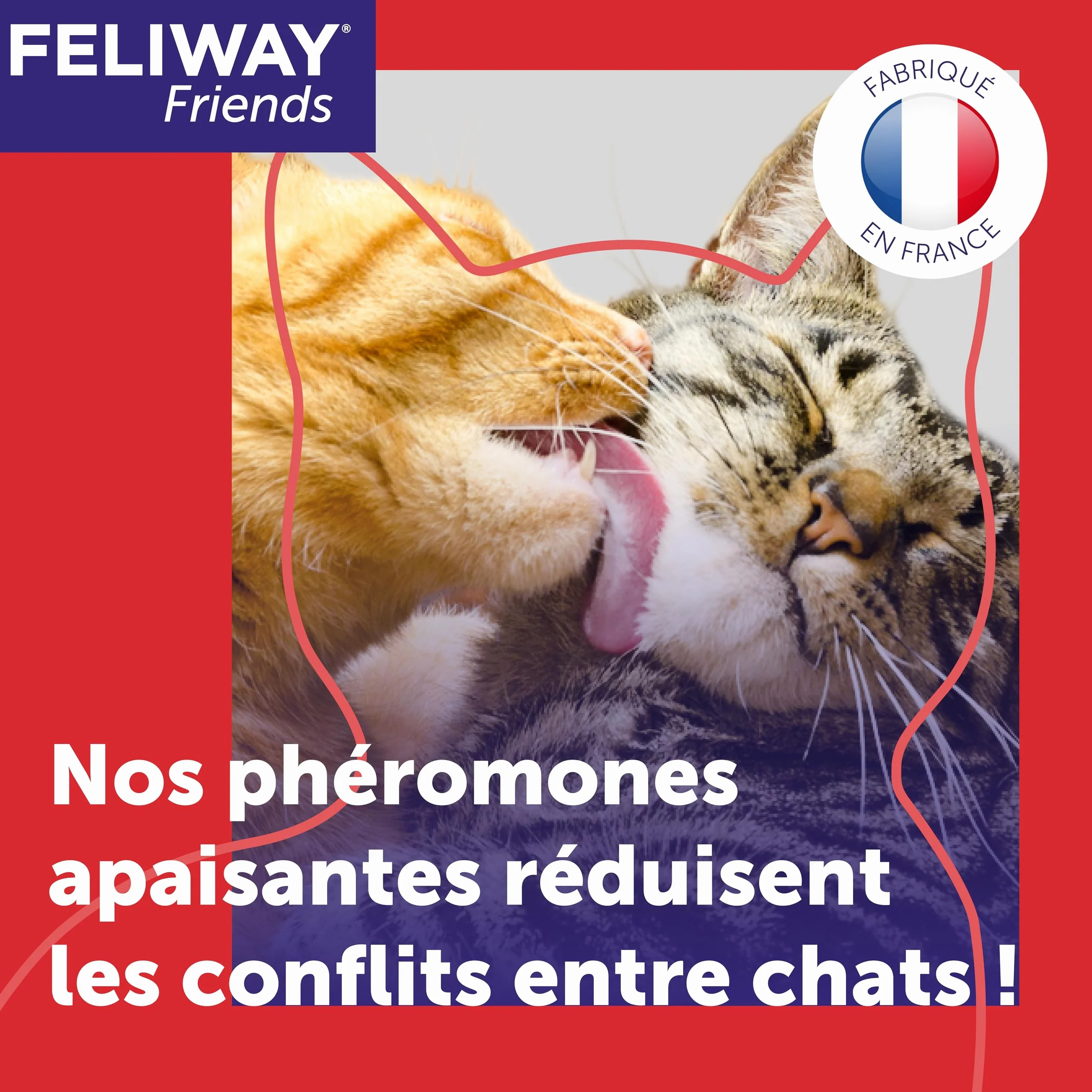 FELIWAY Friends 30 Jours - Kit Complet Diffuseur Phéromones Apaisantes pour Chats + Recharge 48 ml