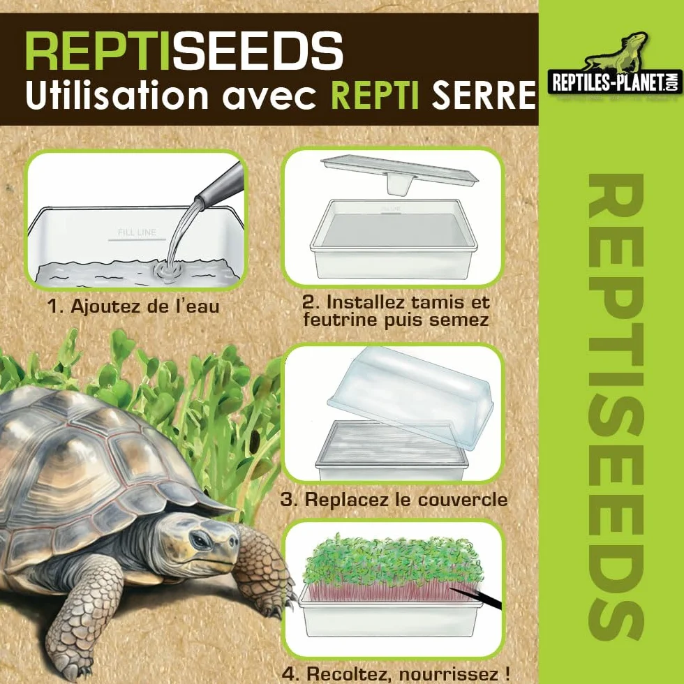 Reptiles Planet Reptiseeds Mélange de Graines à Germer pour Tortue Terrestre 40 g