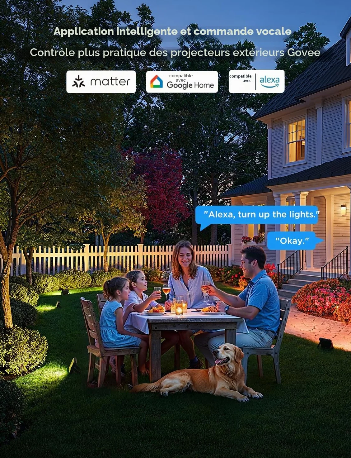 Govee Lot de 4 Phares Projecteur LED Extérieur RGBIC, IP66, Compatible Alexa Google Home