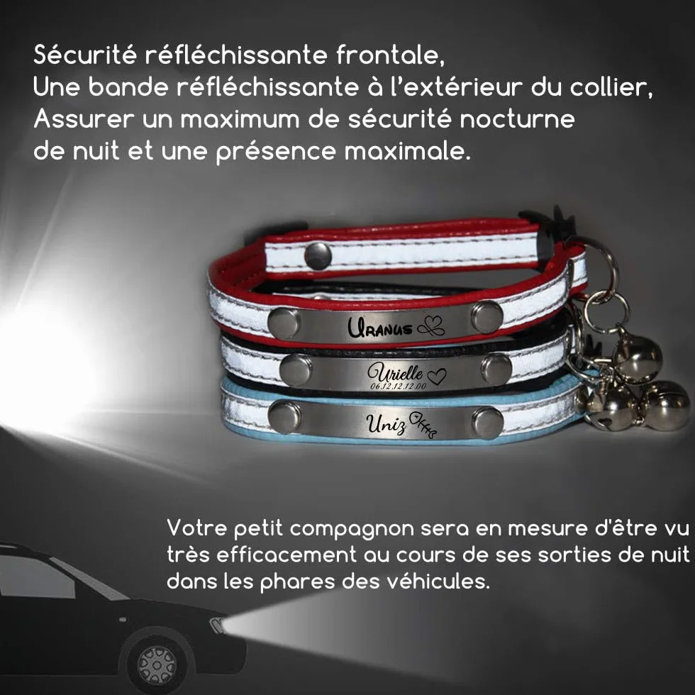 Collier Chat avec Gravure personnalisée, Clochette, Boucle sécurité Anti-étranglement, Bande réfléchissante