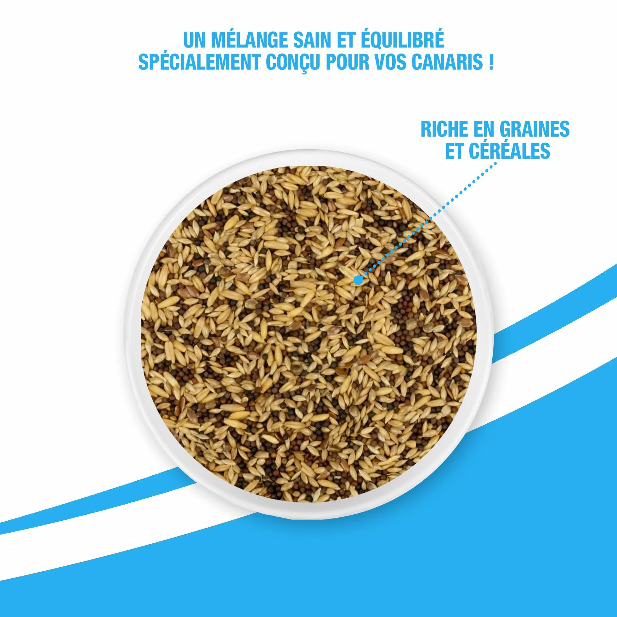 Riga Mélange pour Canaris Nourriture pour Oiseaux Graines et Céréales Riche en Vitamines et Minéraux 2KG