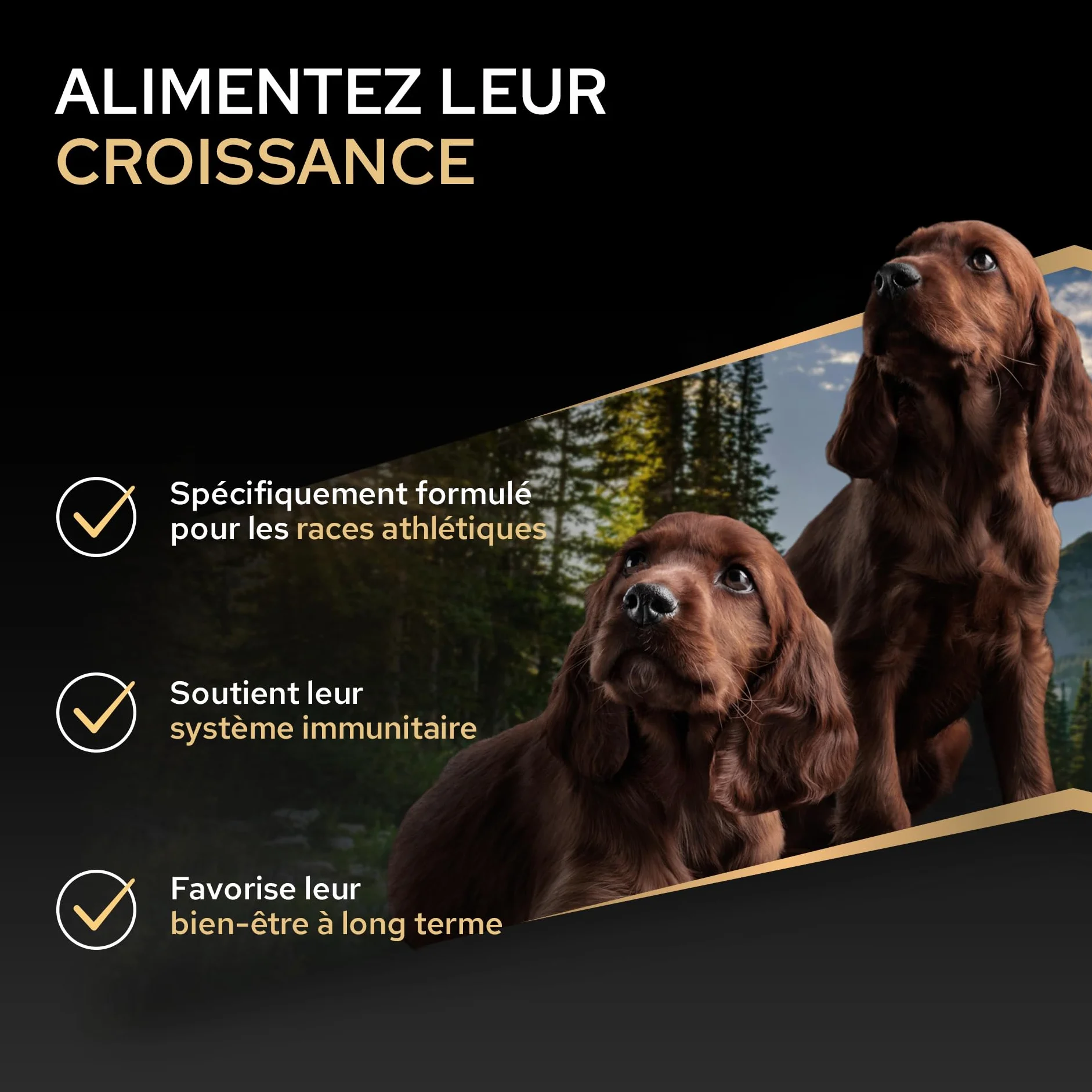 PRO PLAN Chien Large Puppy Athletic Healthy Start Poulet 12KG