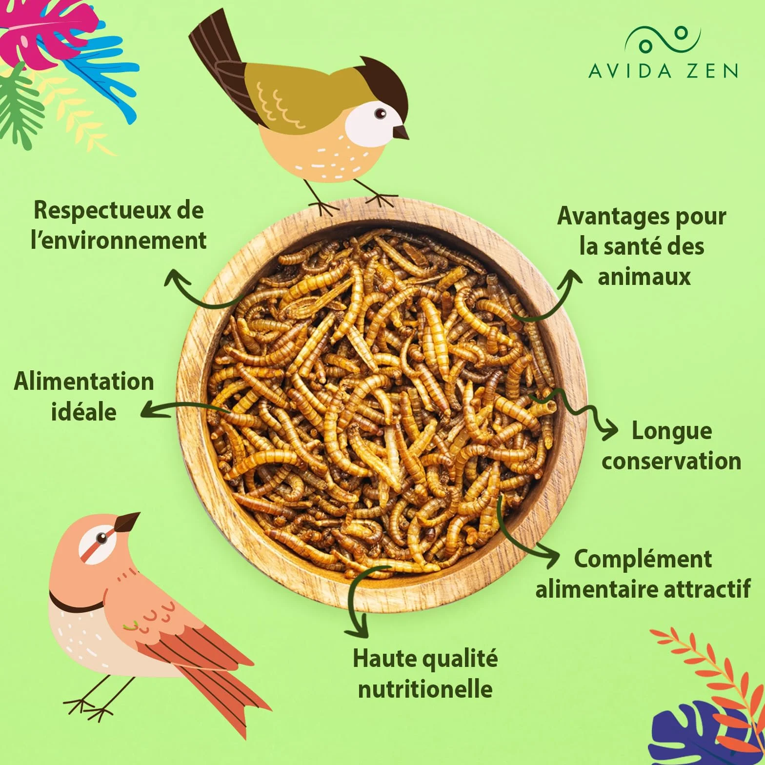 AVIDA ZEN Vers de Farine Séchés 800g - Friandises Naturelles pour Poissons, Oiseaux, Tortues, Rongeurs et Reptiles