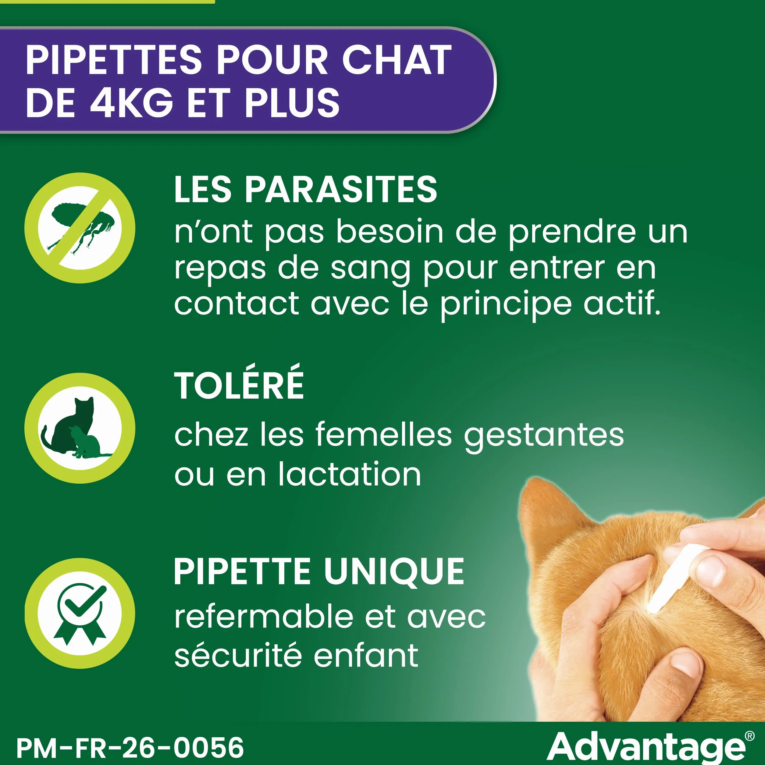 Advantage Chat & Lapin 4 kg – Pipettes anti puces chat prévention infestations – Traitement anti puces lapin protection continue 3-4 semaines – 4 x 0,8 ml