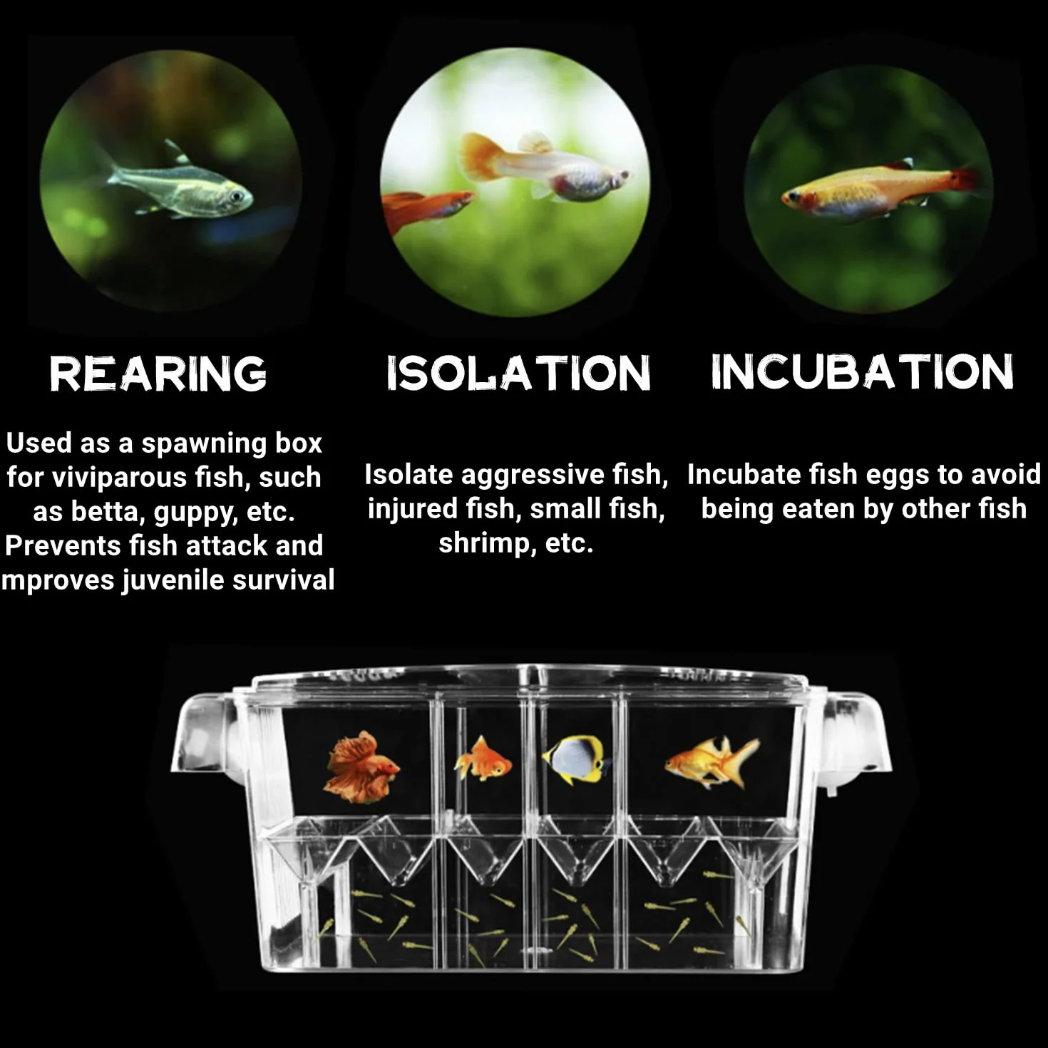 Boîte d'élevage de poissons d'aquarium acrylique ventouses écloserie isolement guppy tropicaux