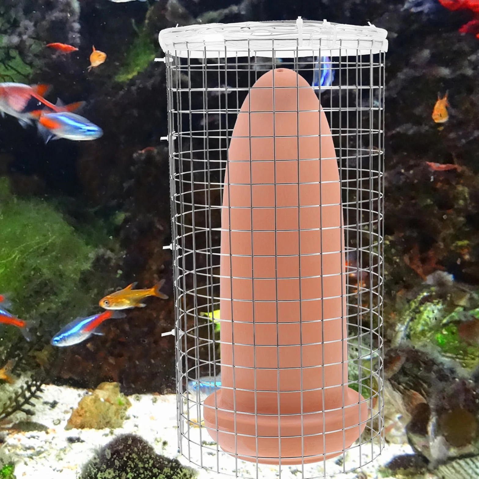 Cônes d'élevage en céramique pour Discus Crevettes Taille L