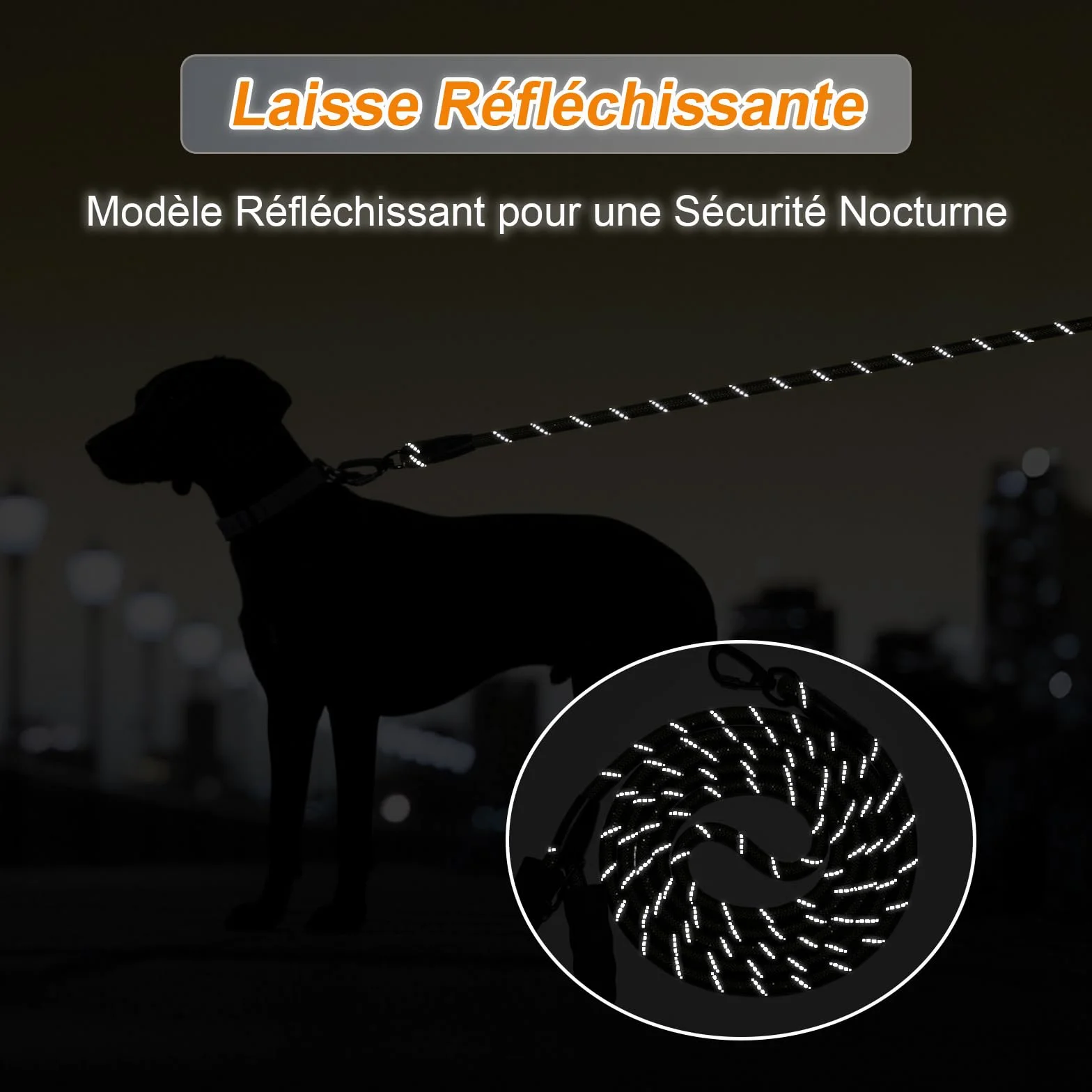 Longe pour Chien 10M Laisse de Dressage avec Poignée Rembourrée