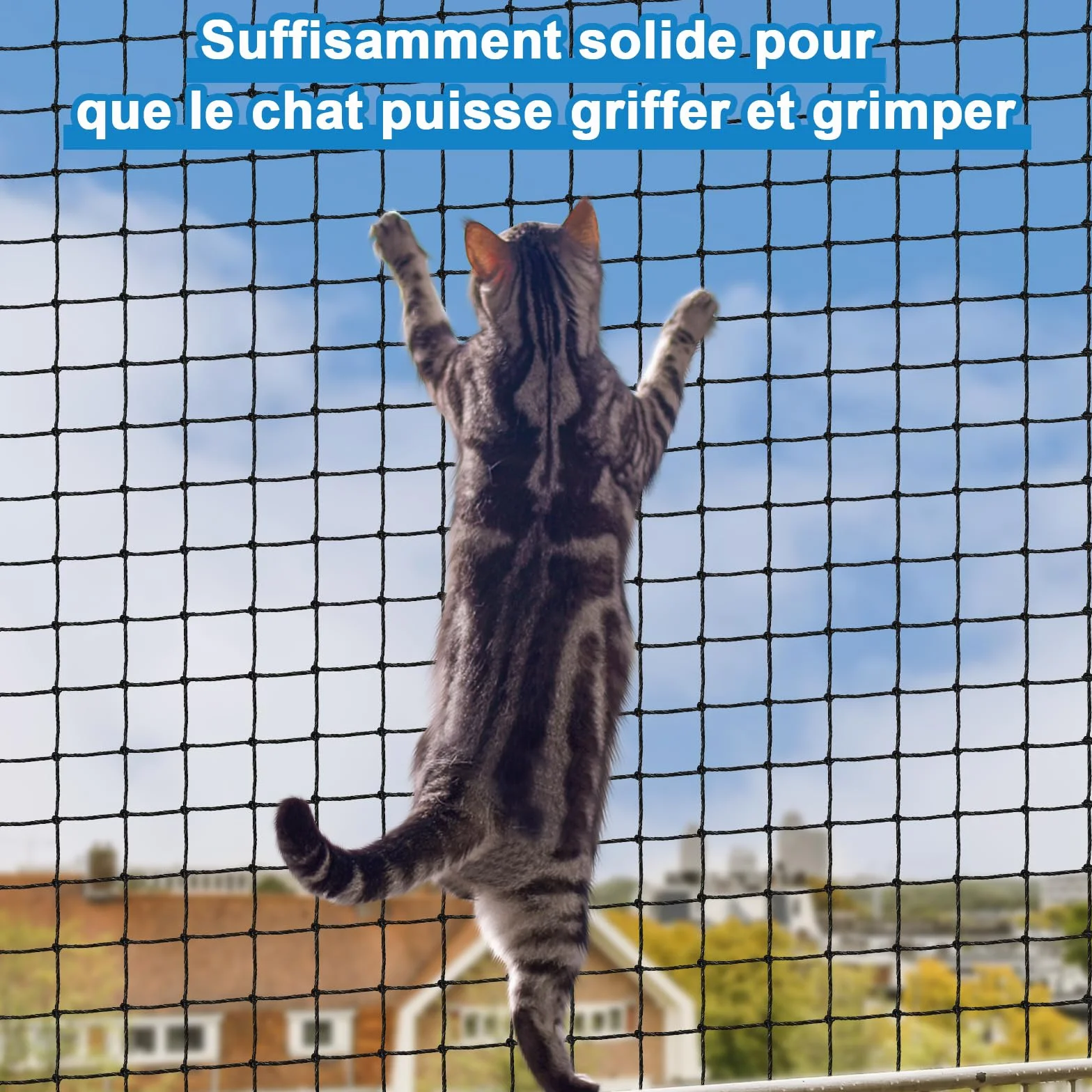 Filet Chat Balcon Renforcé 3x2M Protection Résistant Morsures UV