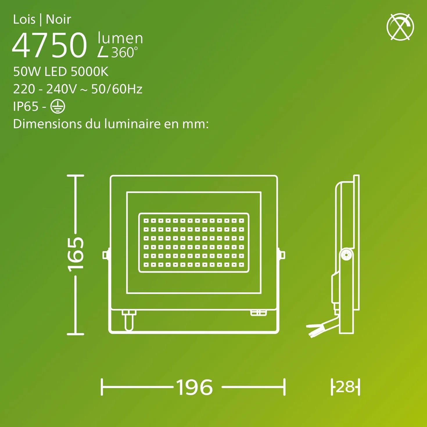 Philips Lois Projecteur Extérieur 50W 5000K Noir