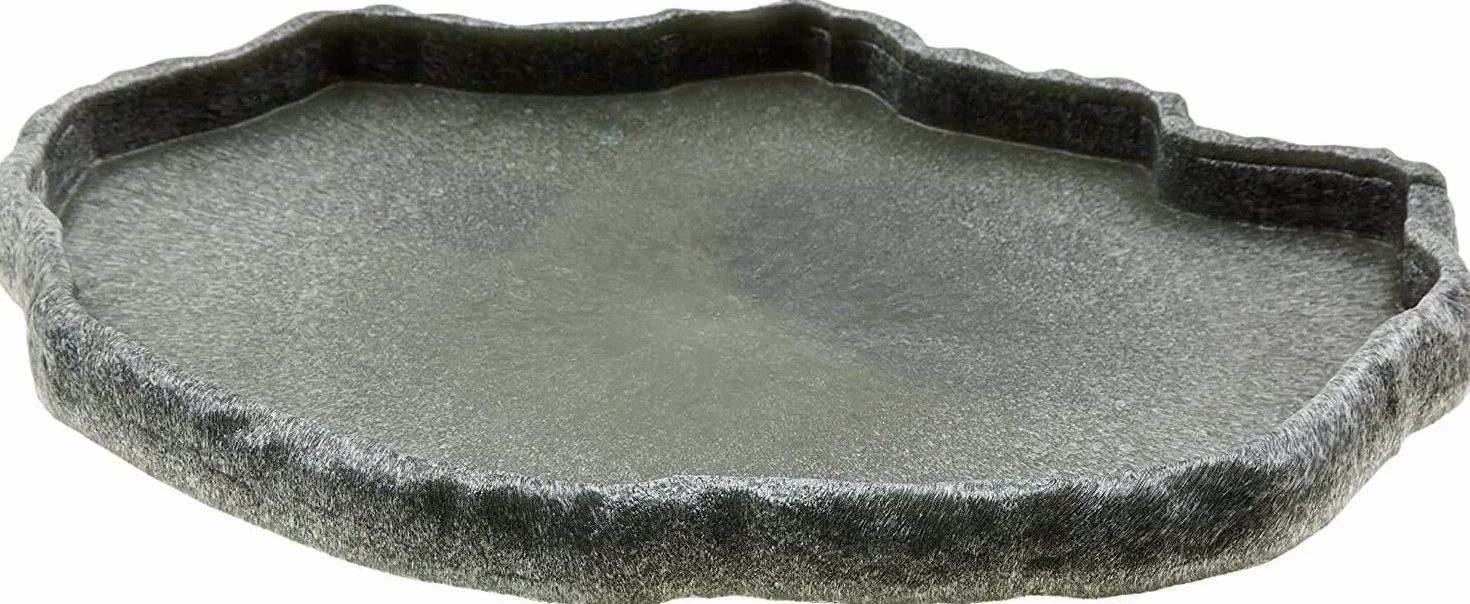Zoo Med Repti Rock Mangeoire Reptile Terrarium Bol Antibactérien 32x2,5x24 cm