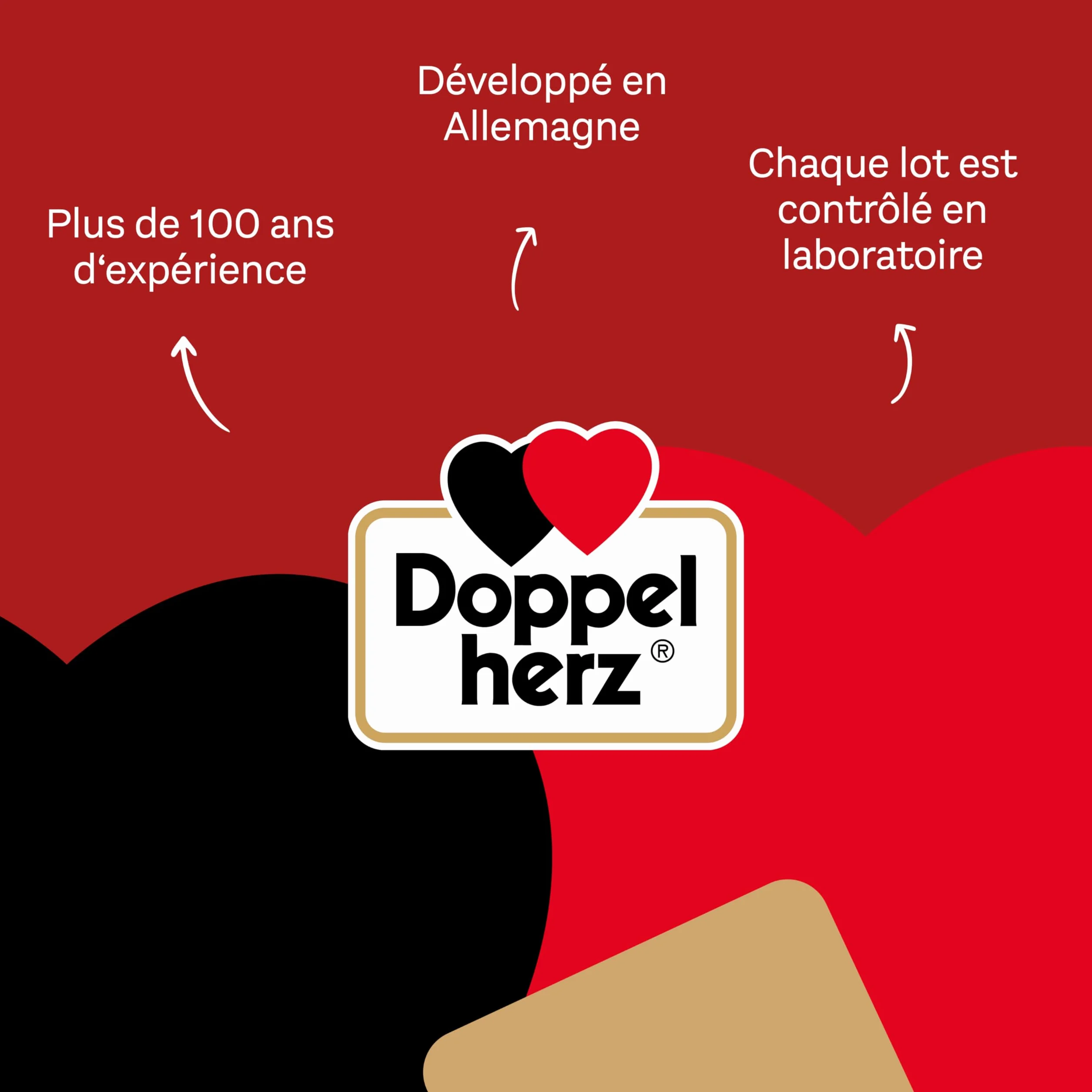 Doppelherz Complexe articulations pour Chats, Soutien du métabolisme, Acides Gras oméga-3, vitamines E et A, 25 Licks