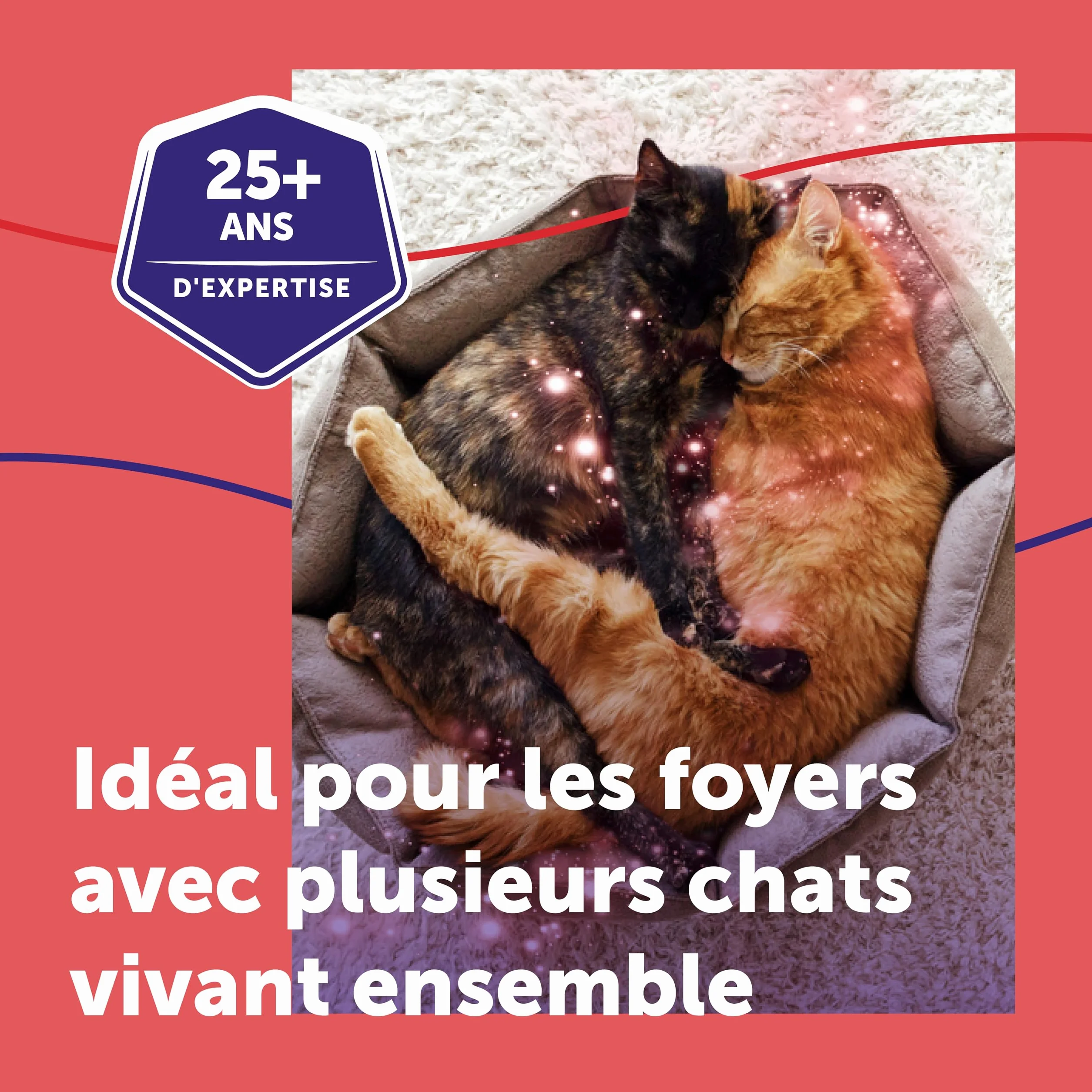 FELIWAY Friends 30 Jours - Kit Complet Diffuseur Phéromones Apaisantes pour Chats + Recharge 48 ml