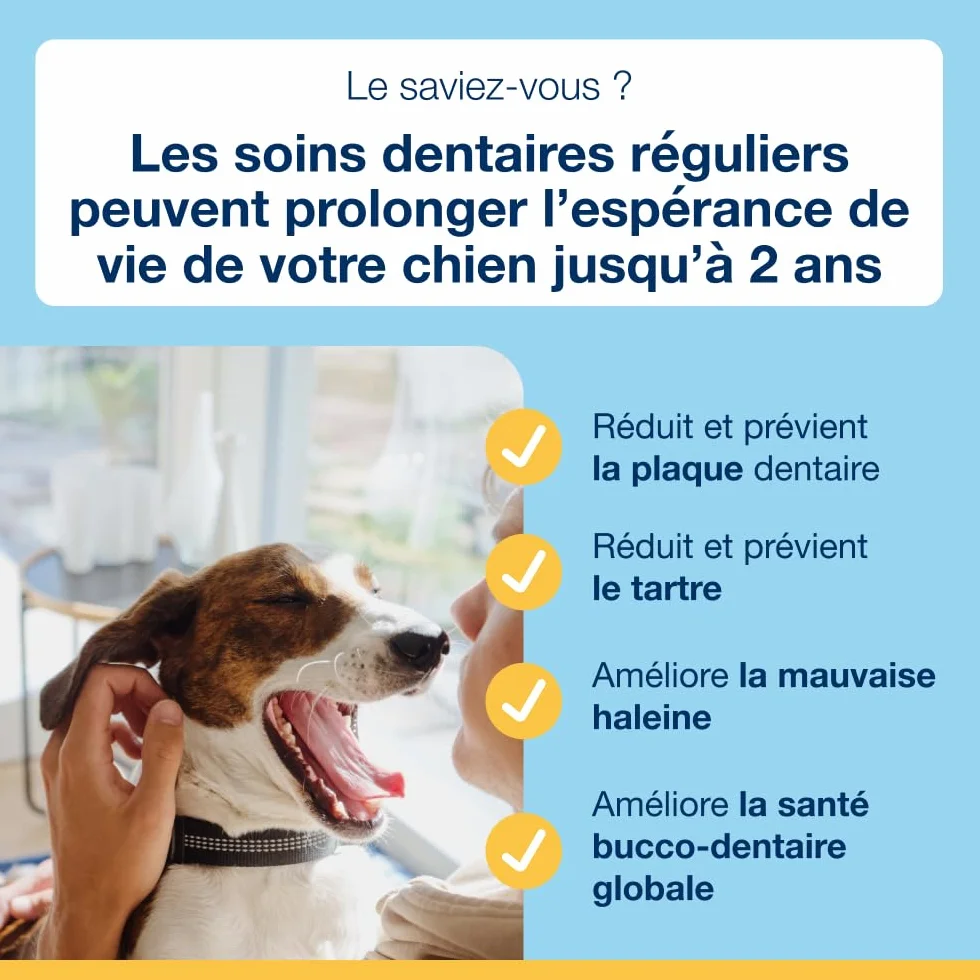 ProDen PlaqueOff Poudre Dentaire pour Chiens Anti-Tartre 60 g