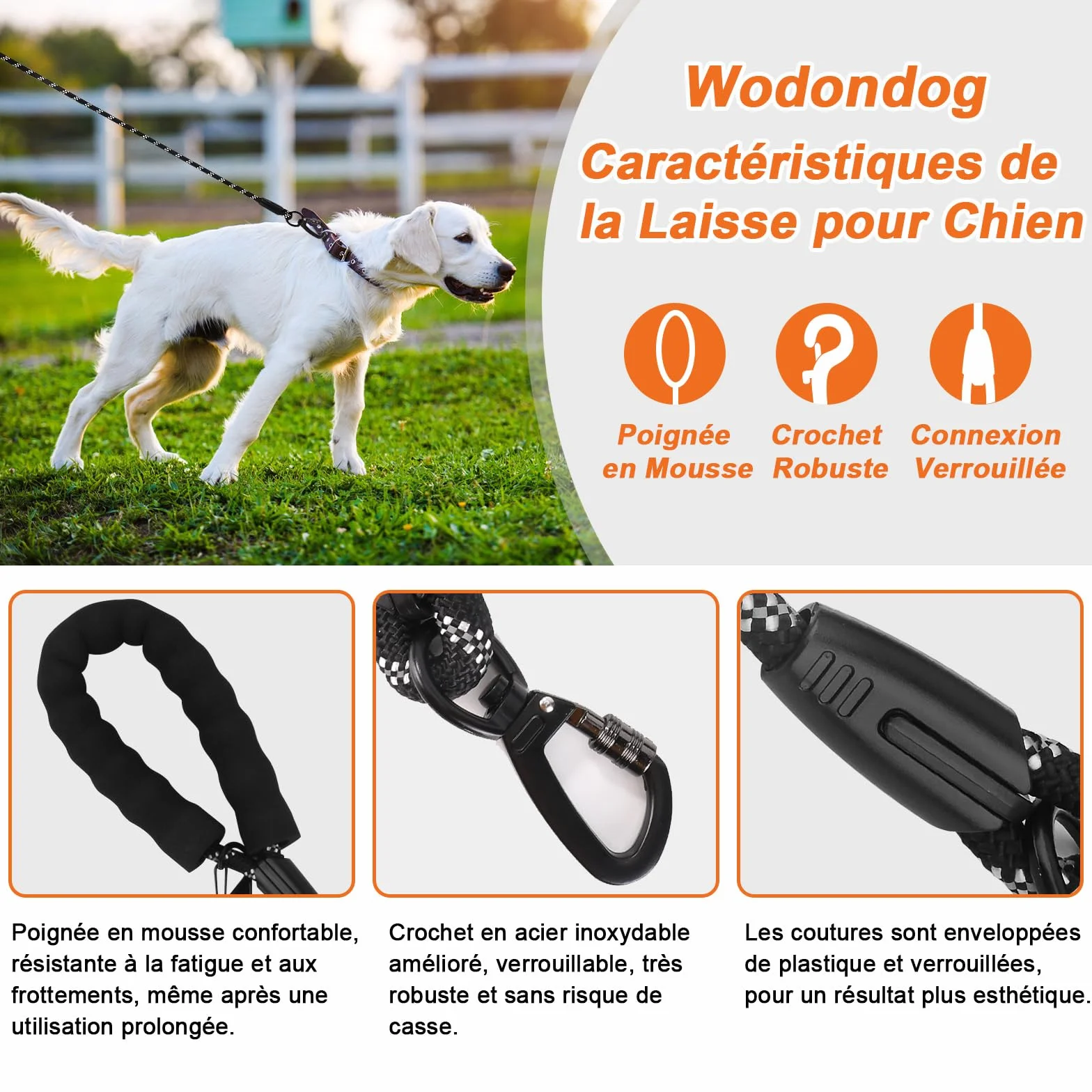 Longe pour Chien 10M Laisse de Dressage avec Poignée Rembourrée