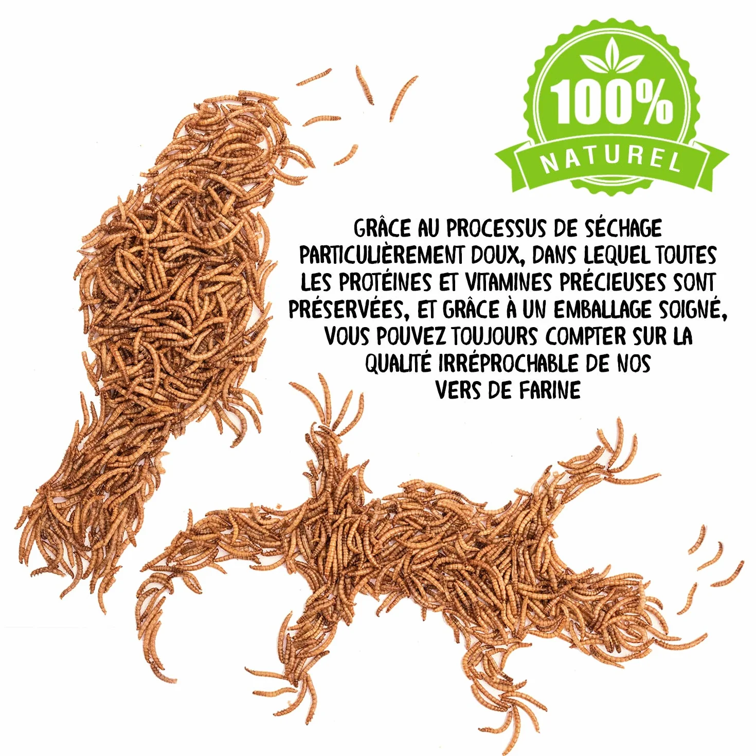 Vers de Farine Séchés 2 kg 13000 ml Nourriture pour Poissons Oiseaux Tortues Hérissons Rongeurs Reptiles