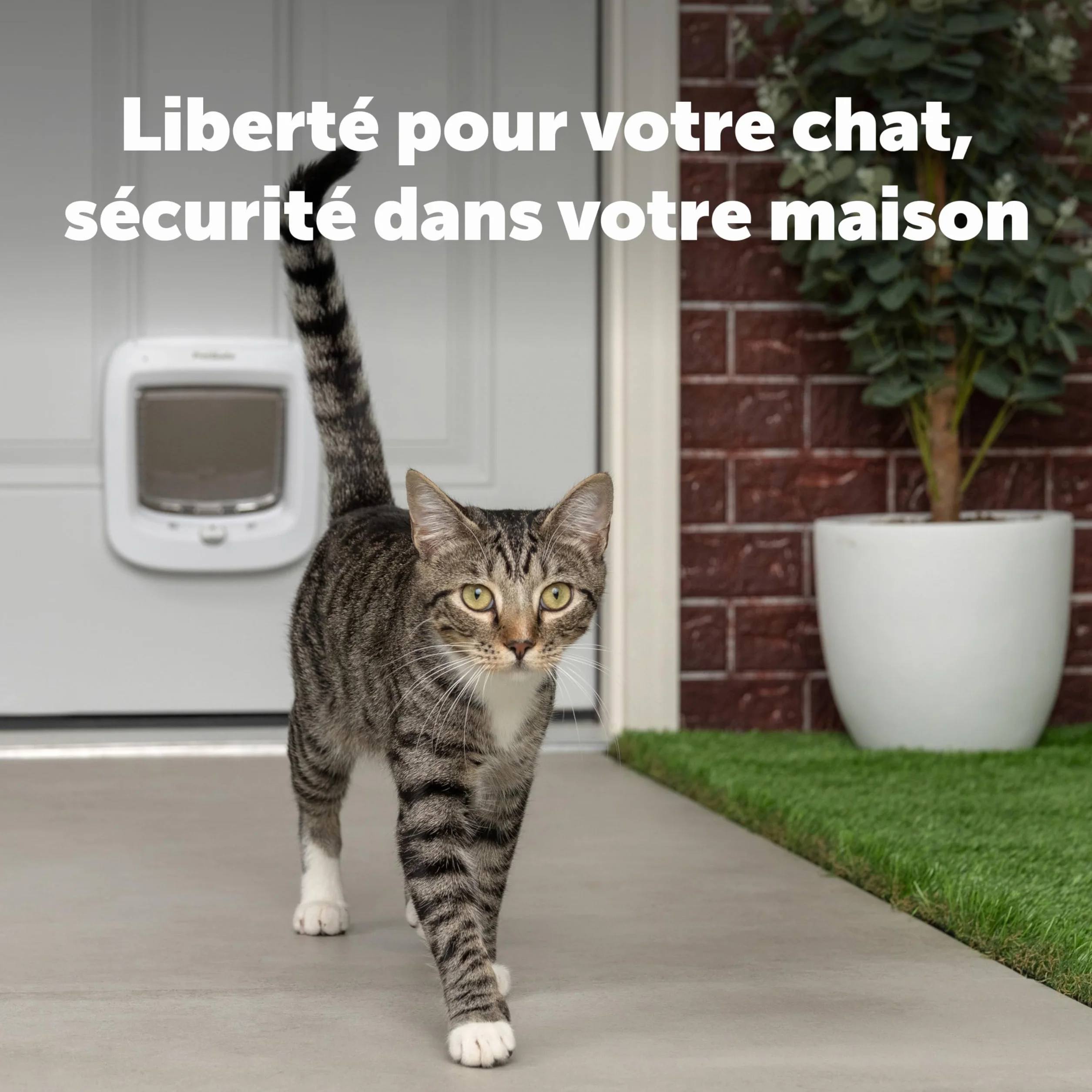 PetSafe Chatière à Puce Électronique RFID Multi-Utilisateur 40 Animaux 4 Options Fermeture Blanc