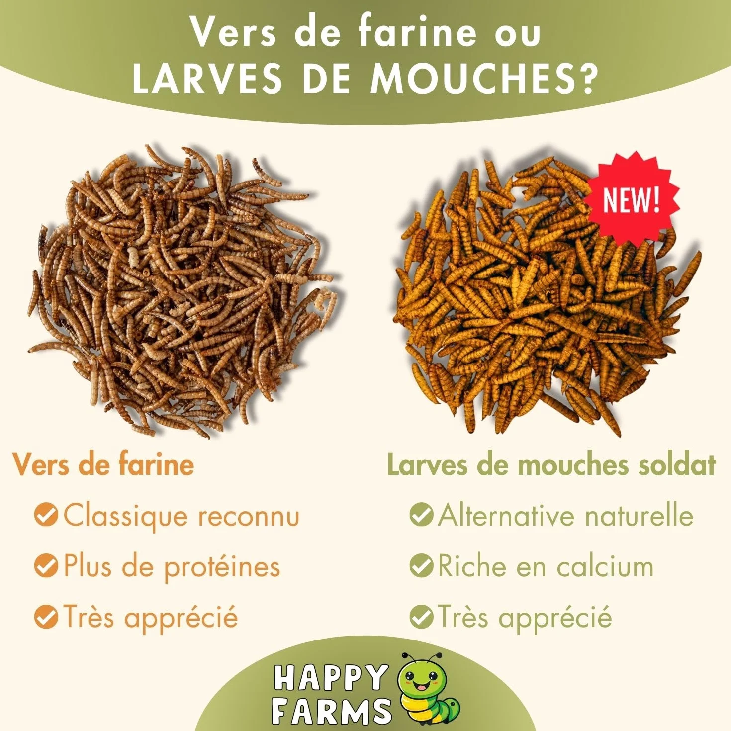 Larves de Mouches Soldats séchées 10 kg Nourriture pour Oiseaux Sauvages Poissons Hérissons