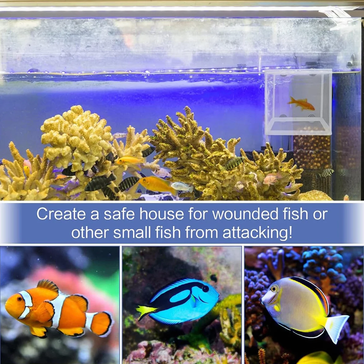 Kiuiom Boîte d’Élevage de Poissons, Aquarium Incubateur Filet pour Poisson