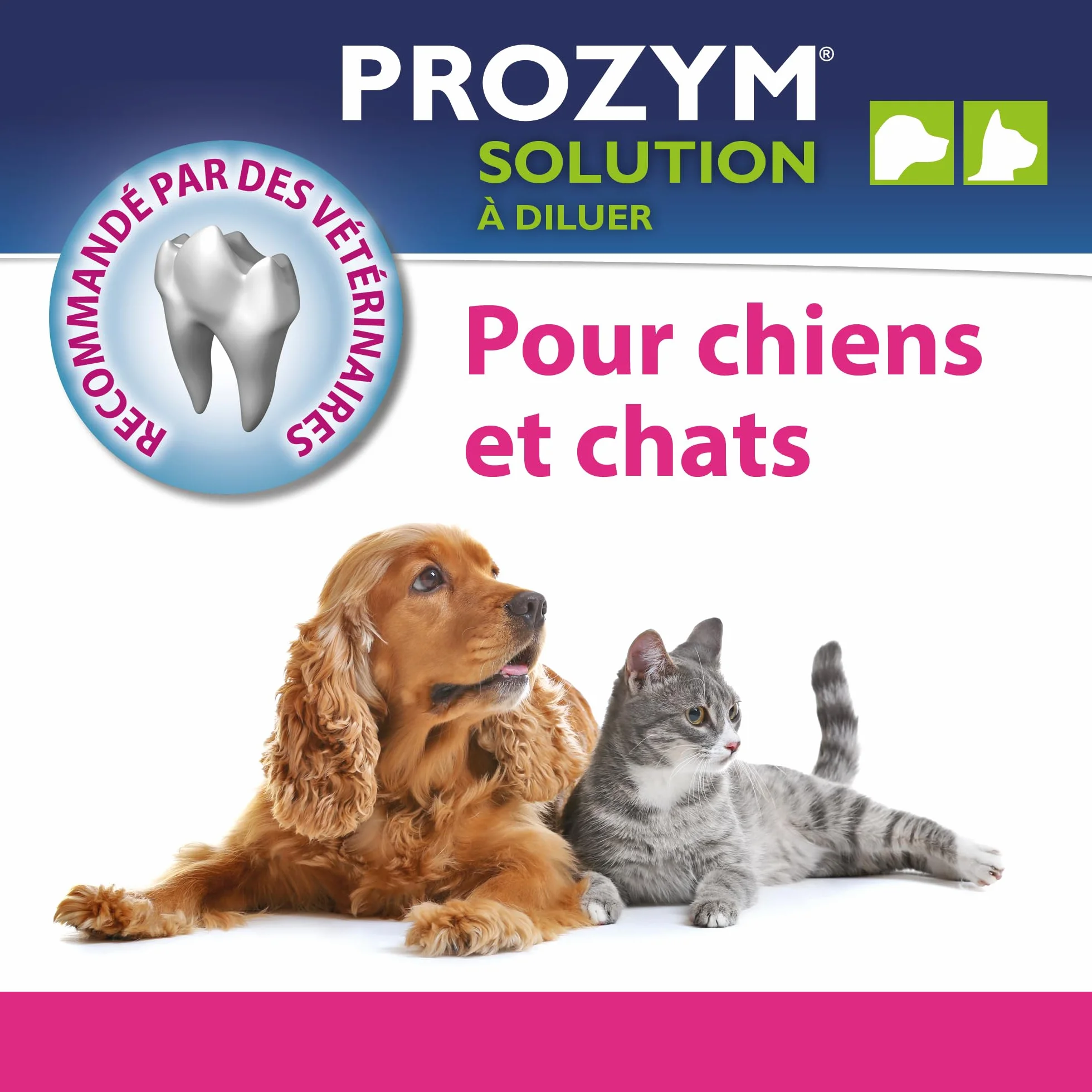 Prozym Solution Dentaire Chiens Chats Anti-tartre Haleine fraîche