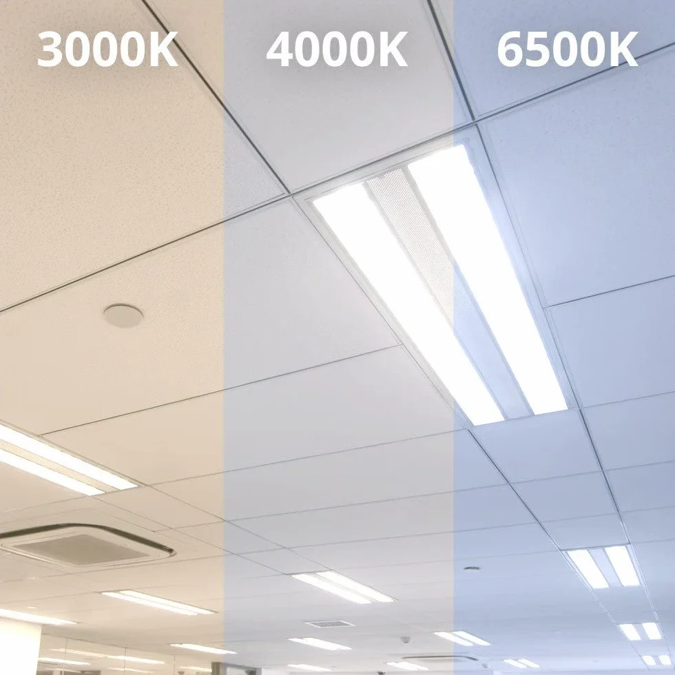 Noxion Tube LED T8 Avant 19W 2300lm 840 Blanc Froid 150cm Équivalent 58W