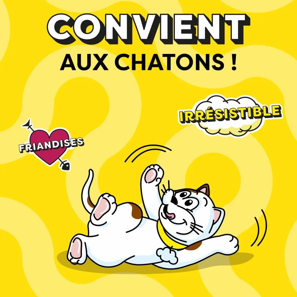 Friandises pour Chat et Chaton au Canard - Lot de 6 Sachets de 60g - Croquantes Tendres
