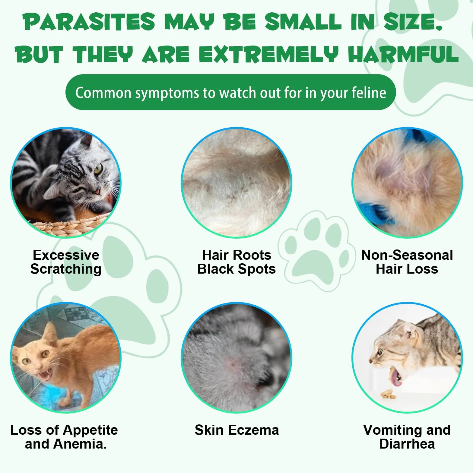 Vermifuge Liquide pour Chat 60 ML, Gouttes Vermifuges Naturelles à Base de Plantes, Favorise la Santé Intestinale