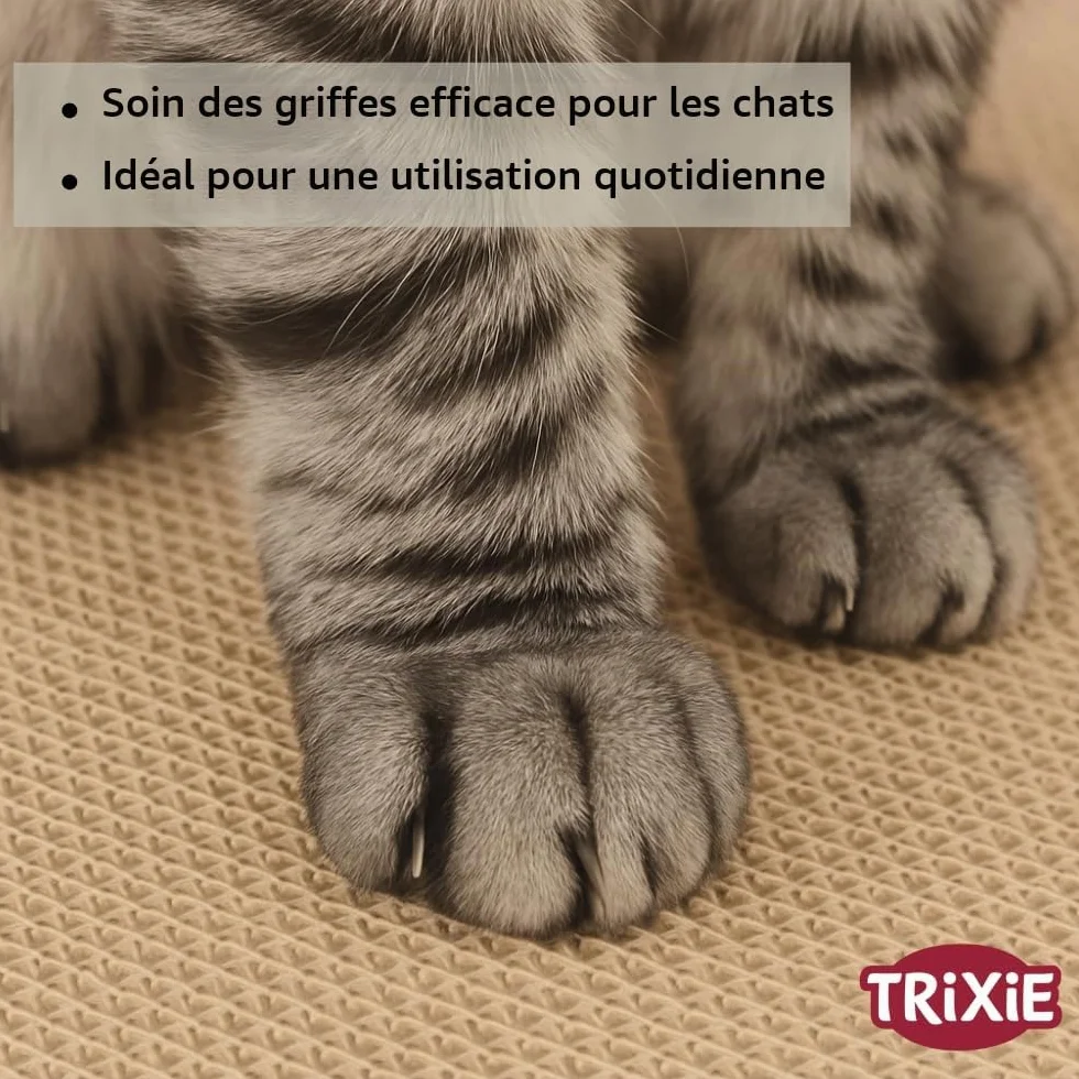 TRIXIE griffoir pour chat en carton ondulé robuste avec herbe à chat 41 × 24 × 7 cm