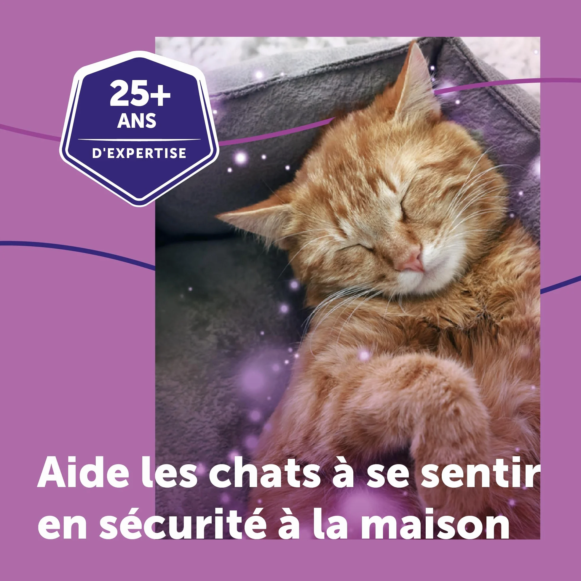 FELIWAY Classic Anti-Stress pour Chat Pack économique 3 recharges 3x30 Jours