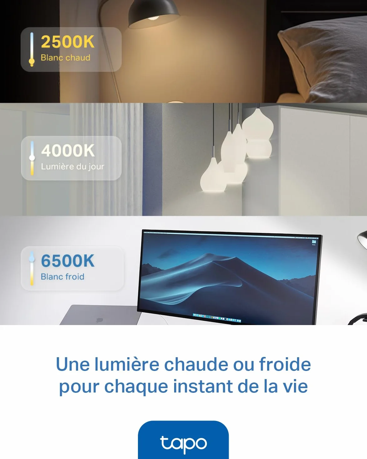 Tapo Ampoule Connectée WiFi LED E14 Multicolore 2500K-6500K Dimmable 4,3W 470Lm Compatible Alexa Google Home L430P