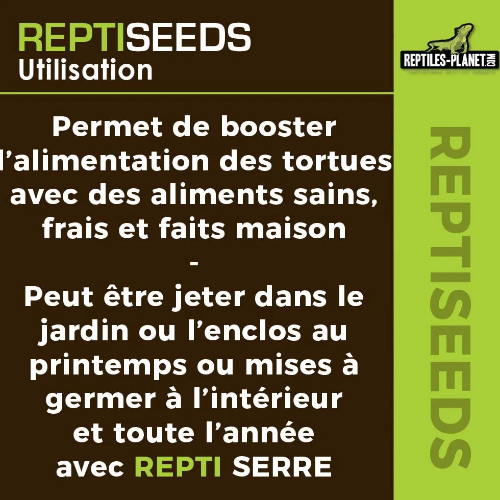 Reptiles Planet Reptiseeds Mélange de Graines à Germer pour Tortue Terrestre 40 g