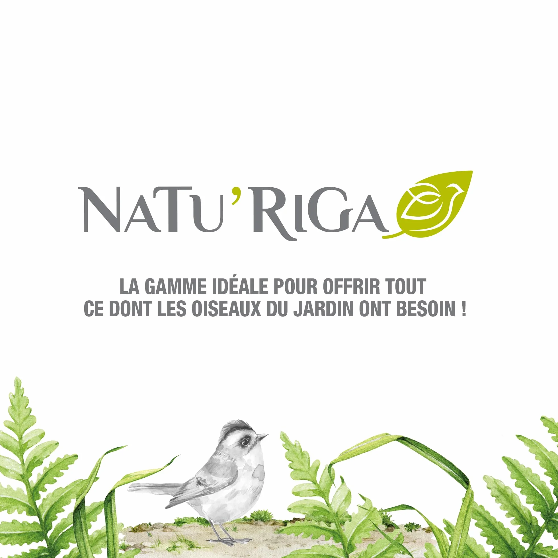 NATU'RIGA Mélange Tourterelles Nourriture Oiseaux Extérieur 2KG