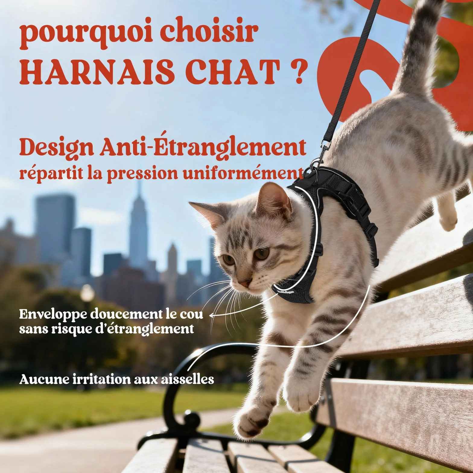 Rabbitgoo Harnais Chat Réglable Noir XS Réfléchissant Gilet Respirant pour Petit Chien Chaton