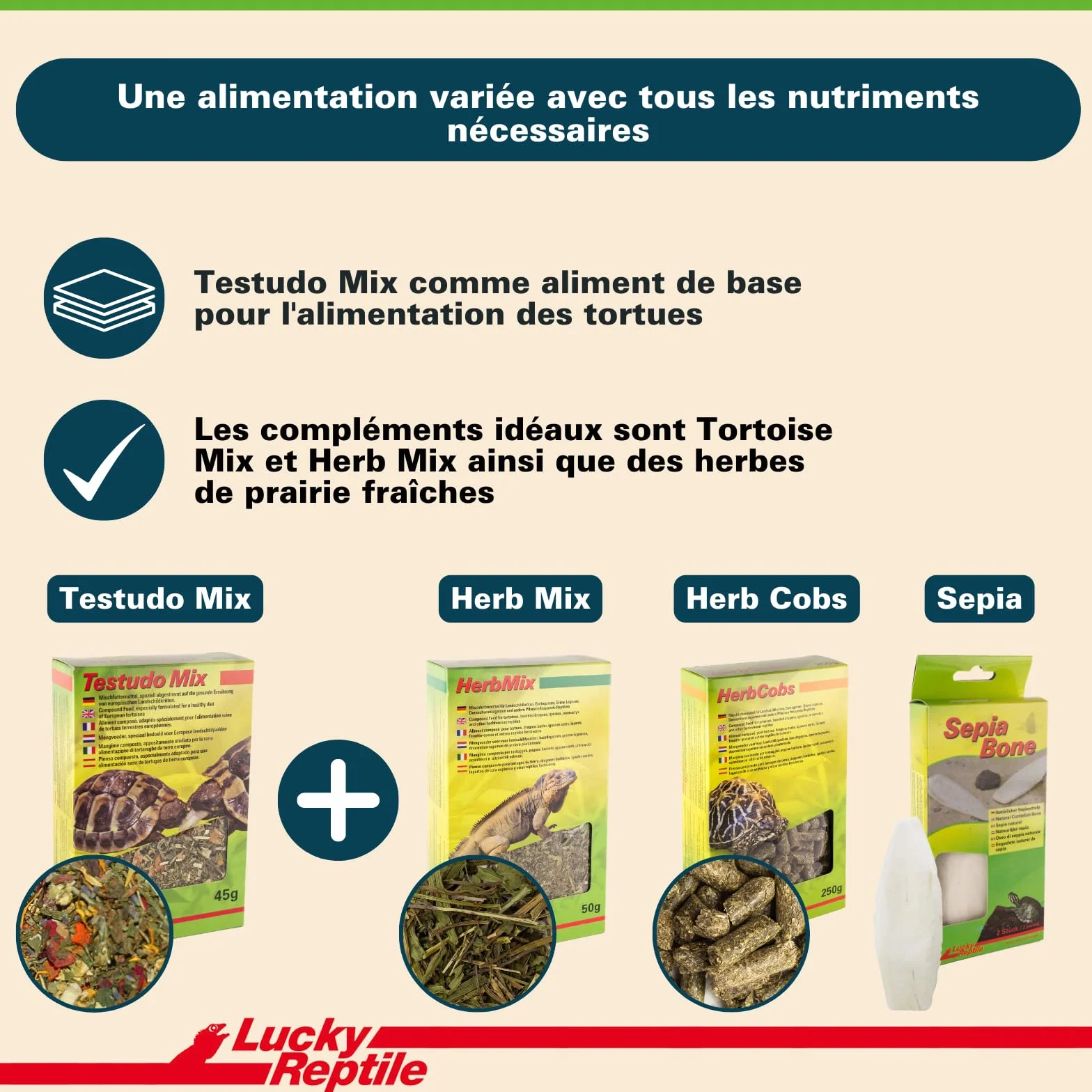 Lucky Reptile Testudo Mix 80g Nourriture pour Tortues terrestres avec Fleurs séchées & Herbes