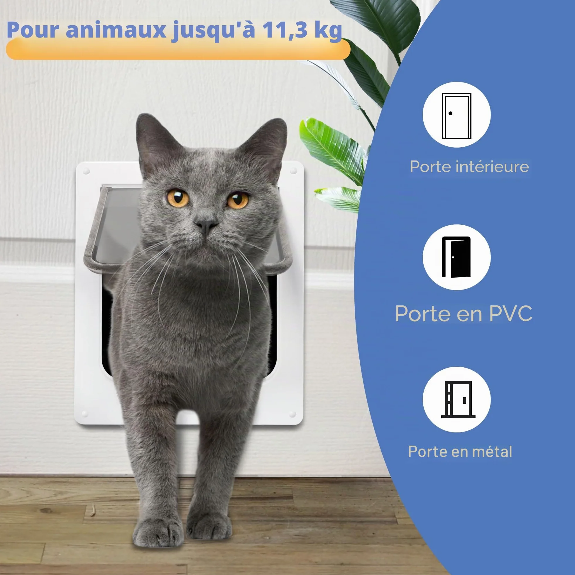 Wordcam porte pour chat XL, verrouillable 4 voies, résistante, jusqu'à 11,3 kg, chatière chaton/chien