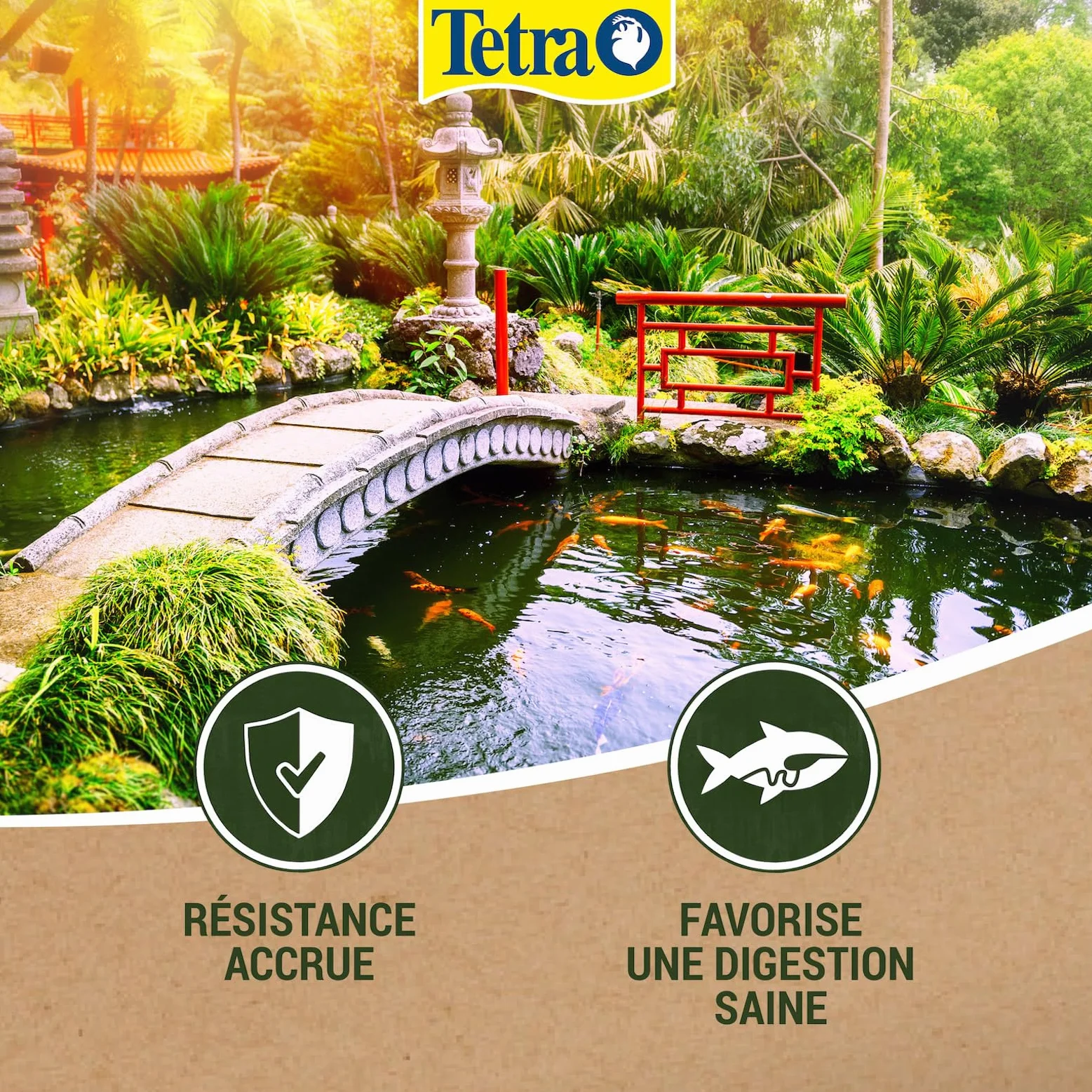 Tetra Pond Sticks Alimentation Poissons Bassin 10L