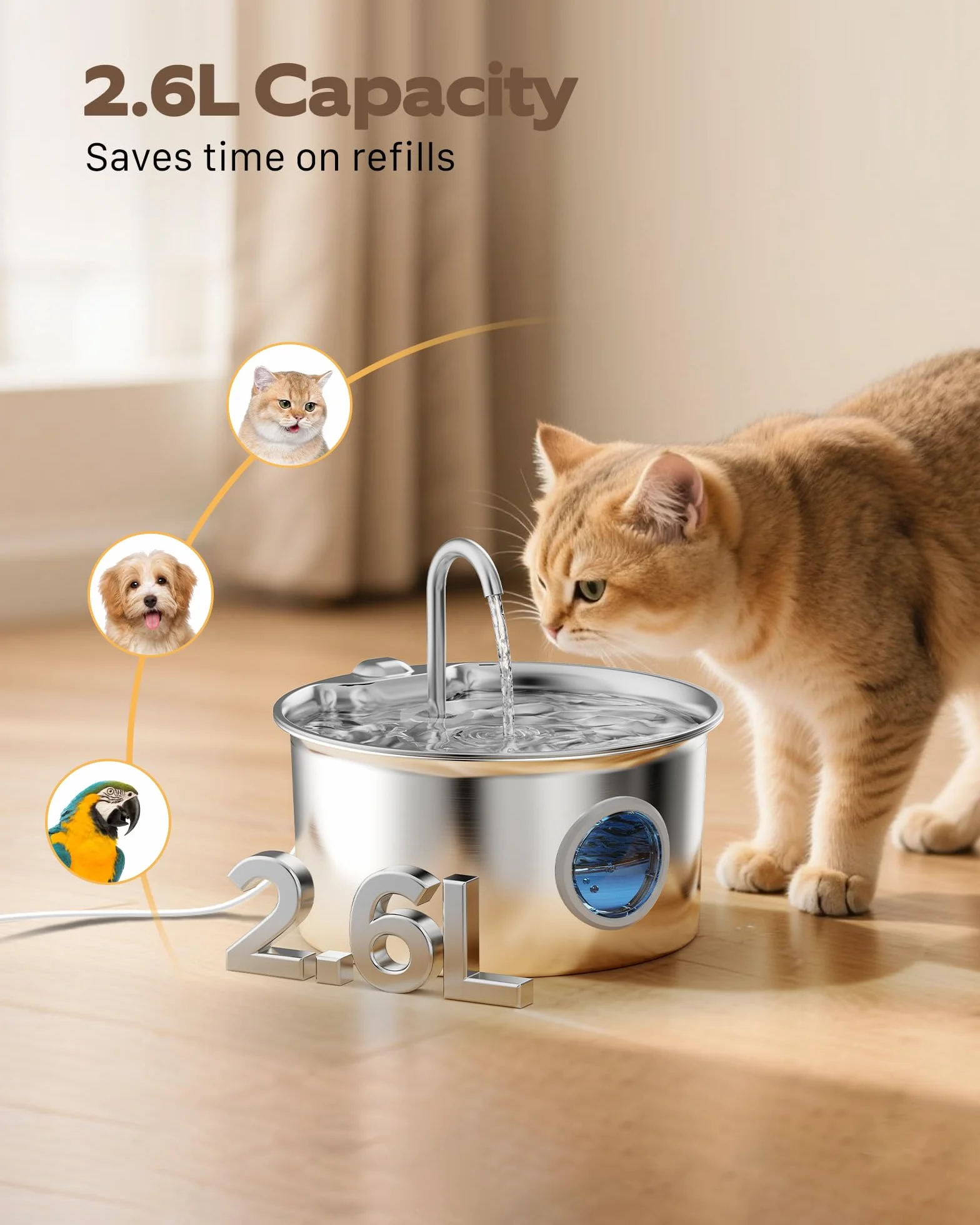 Fontaine à Eau pour Chat INOX 2,6L Automatique Silencieuse avec Fenêtre de Niveau d'eau