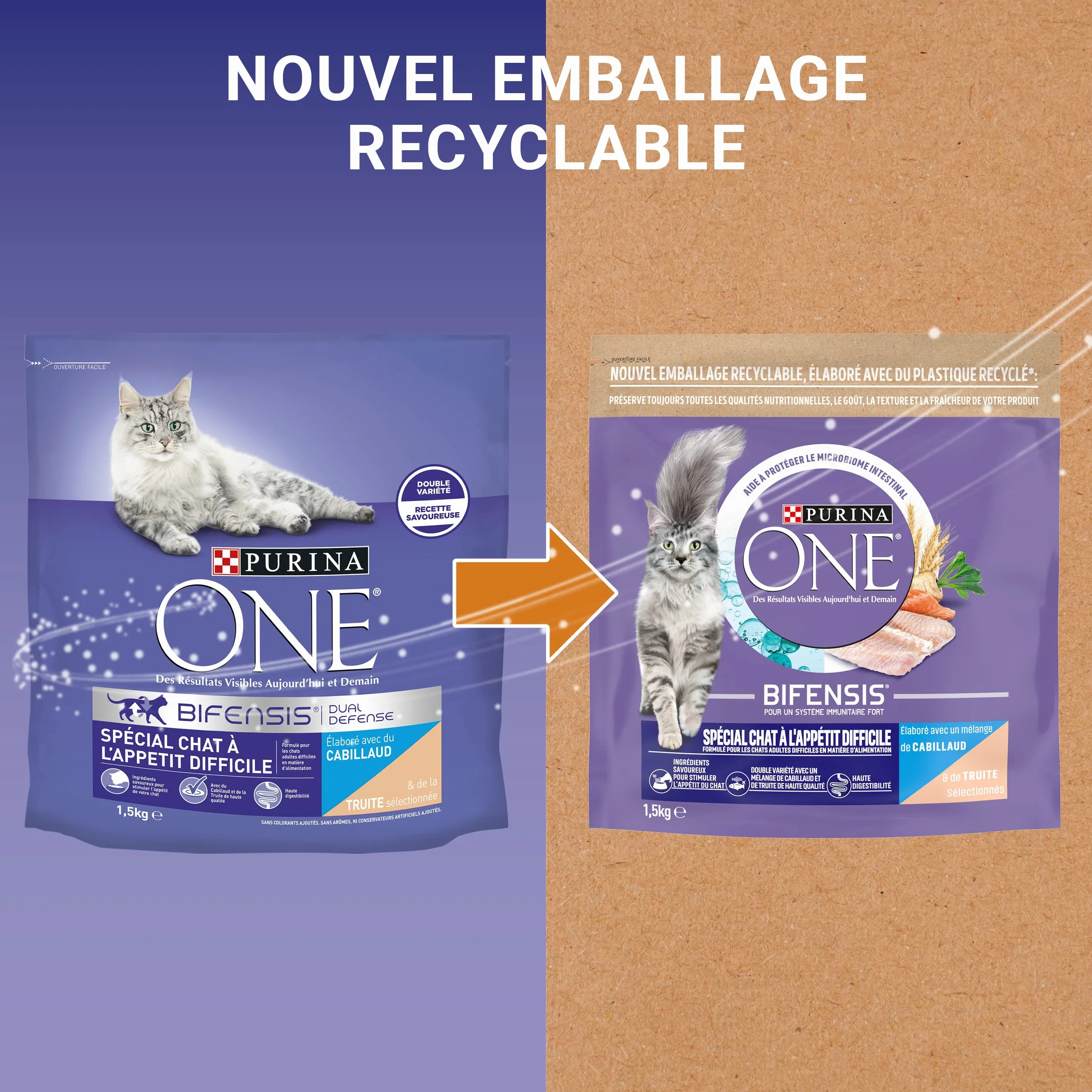 PURINA ONE BIFENSIS Croquettes Chat Adulte à l'appétit difficile 1,5 kg