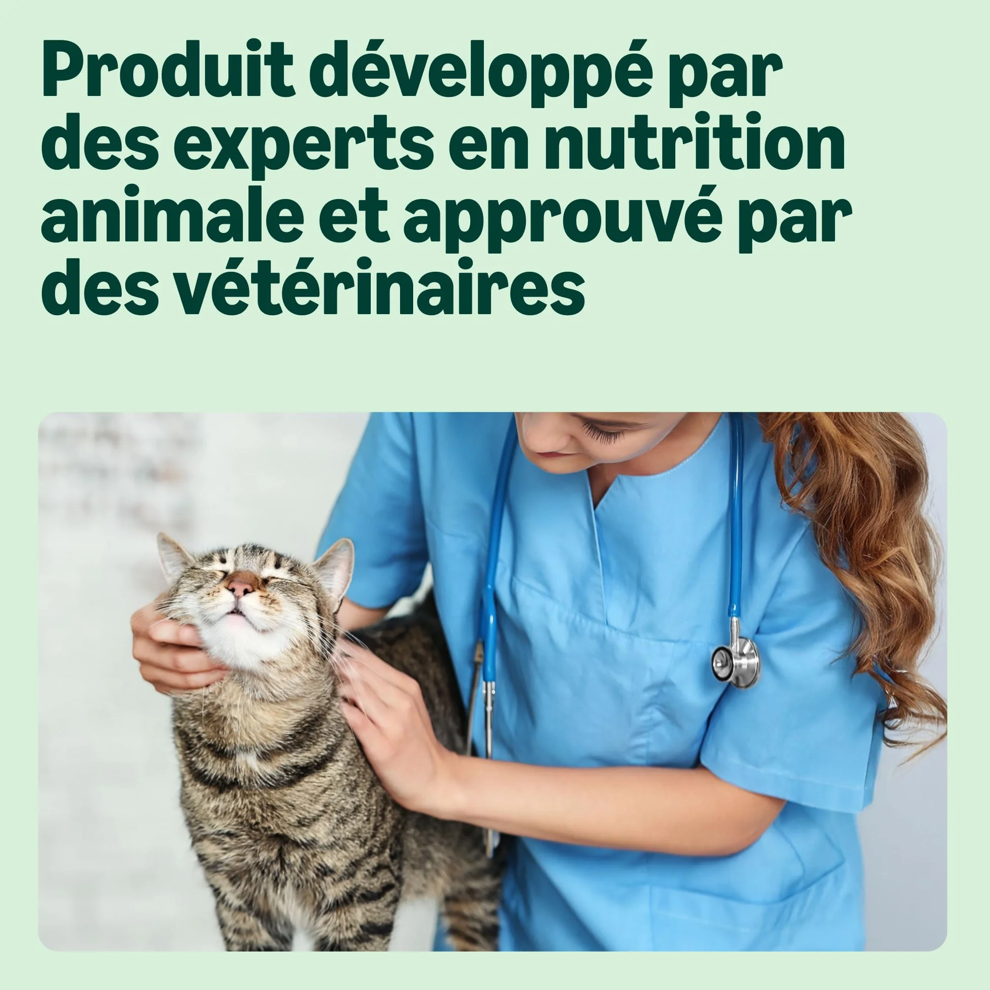 Croquettes complètes pour chats adultes au saumon, thon et légumes, 3kg